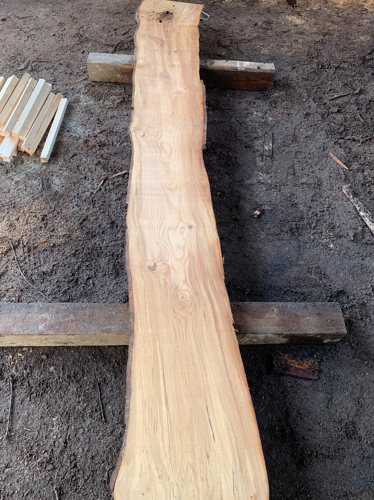 Alder Slabs