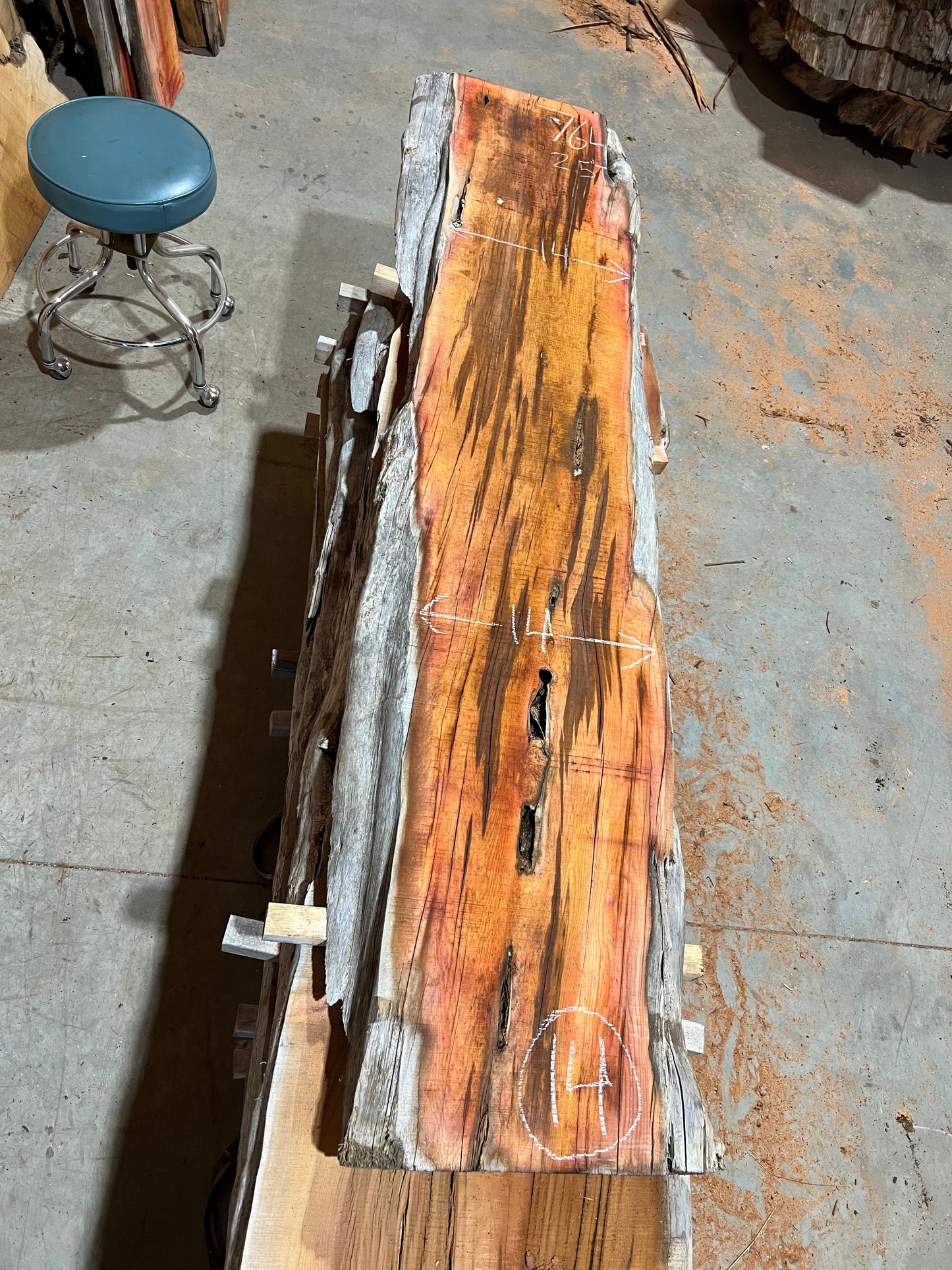Yew Slabs