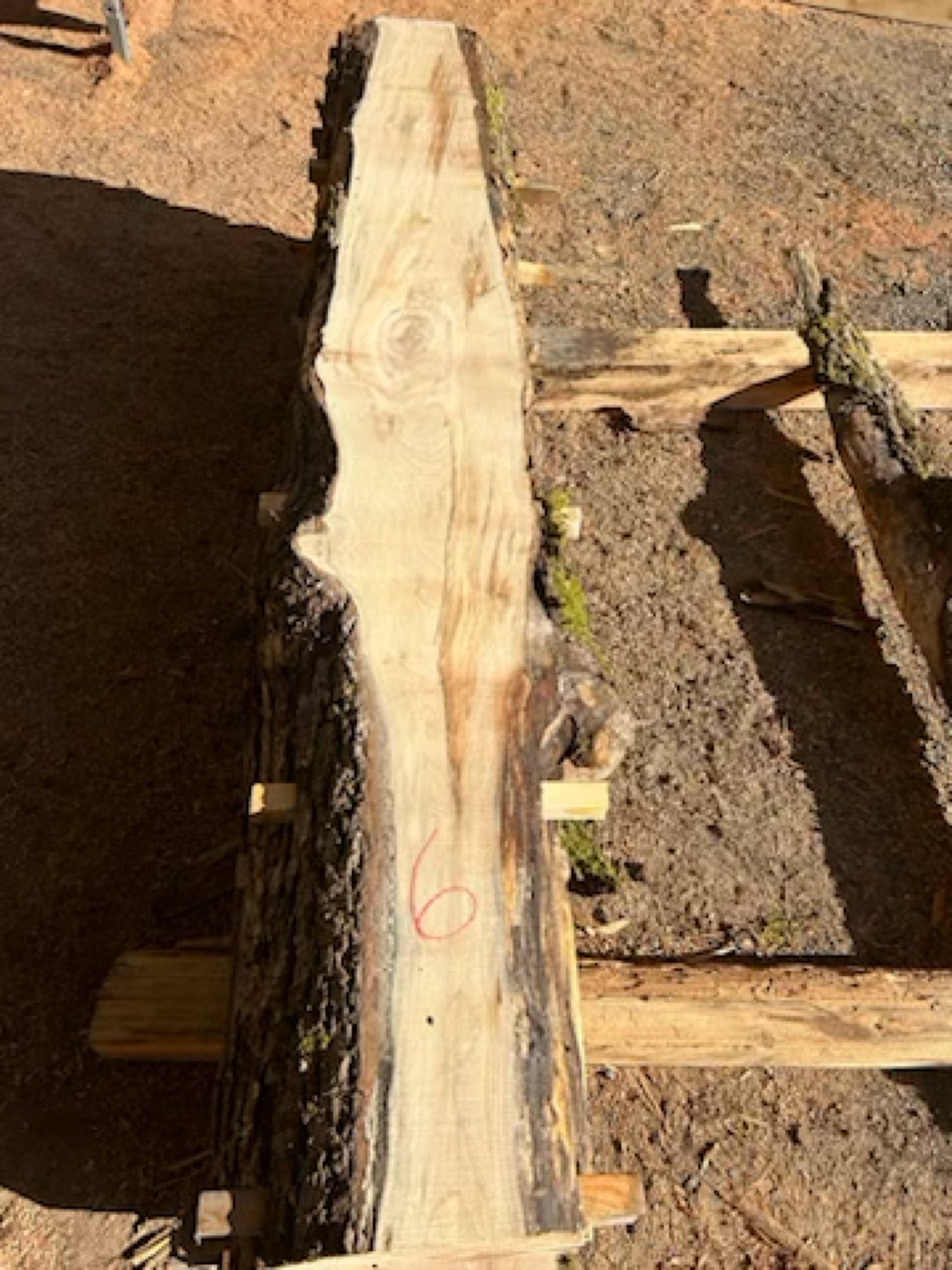 Figured Maple Slabs - 98" Flitch - slab 6, 98x10x2.25 inches