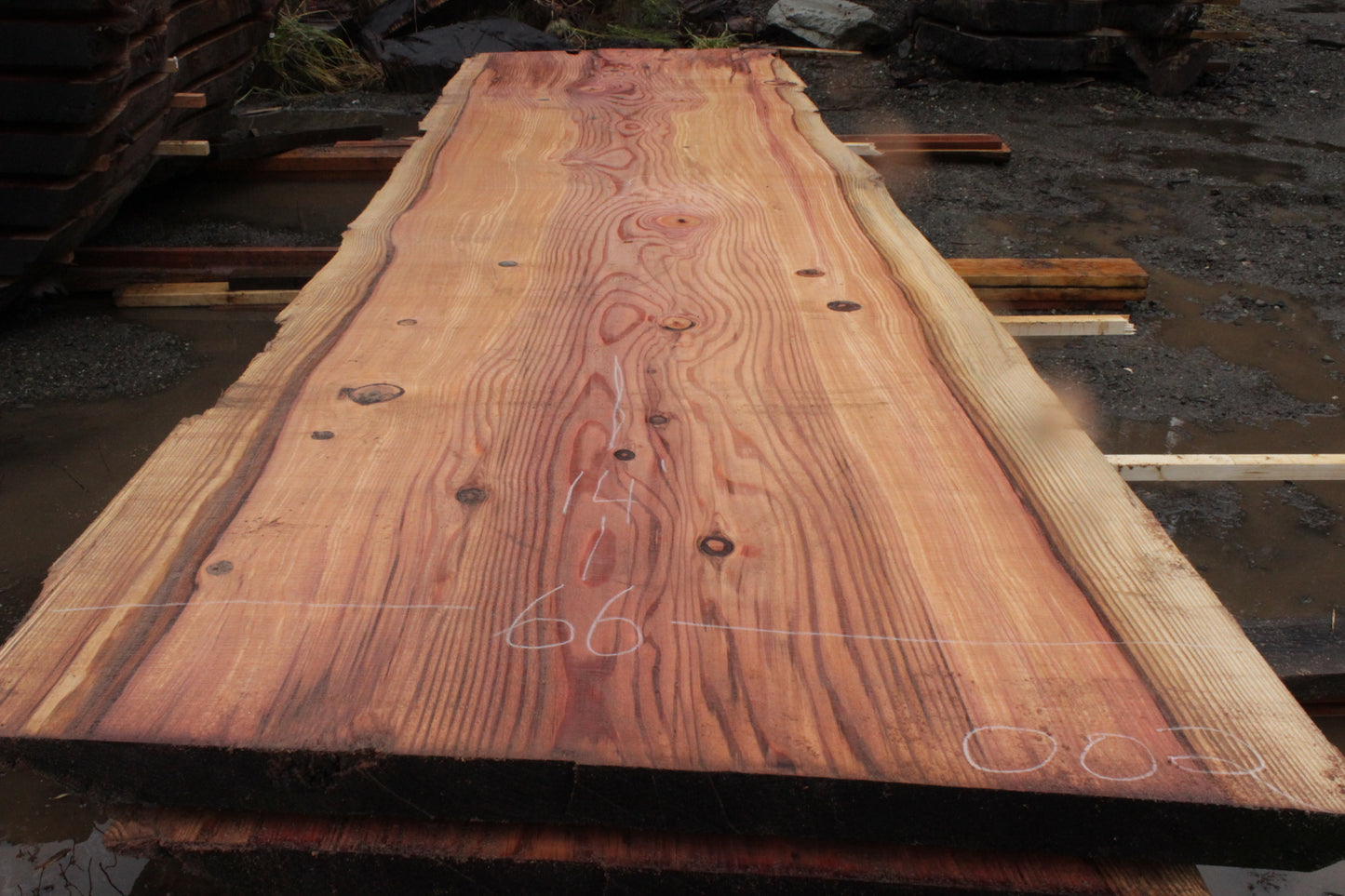 Sequoia Conference Room Table Slabs