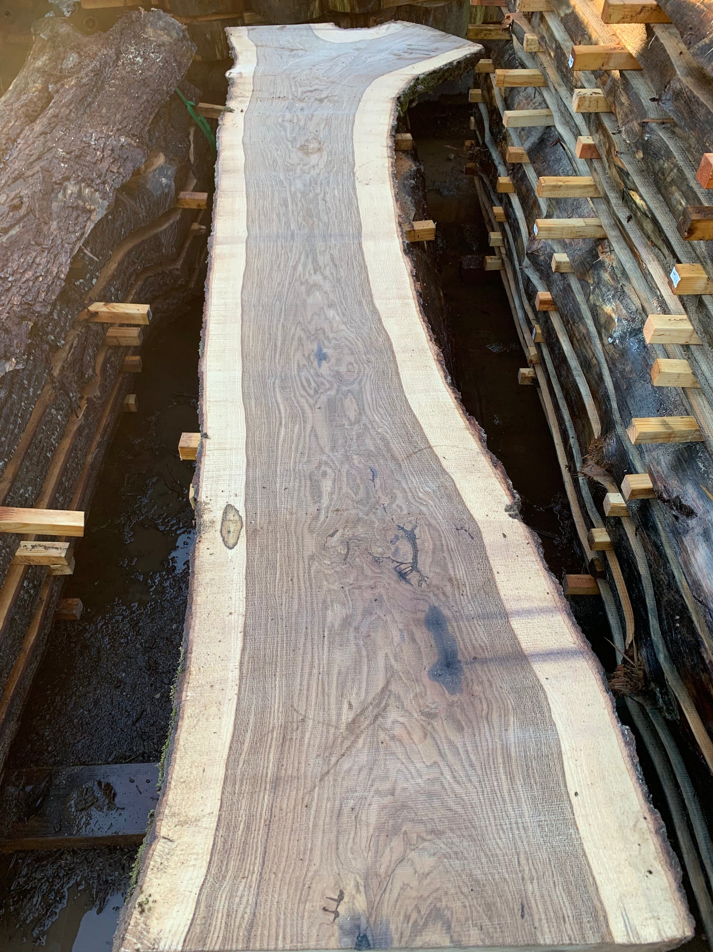 Gary Oak Slabs