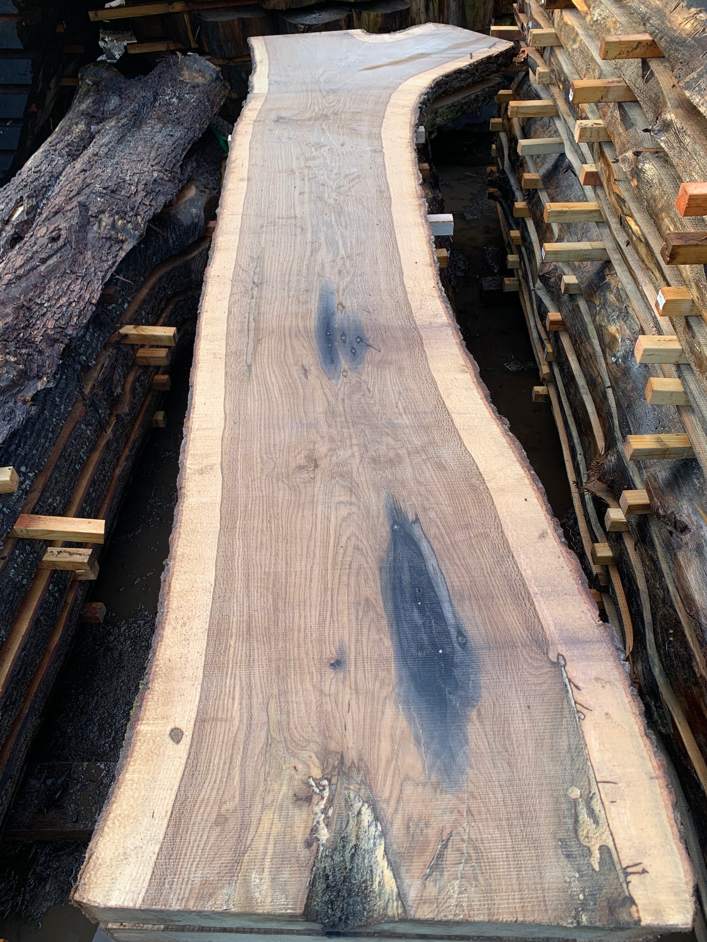 Gary Oak Slabs