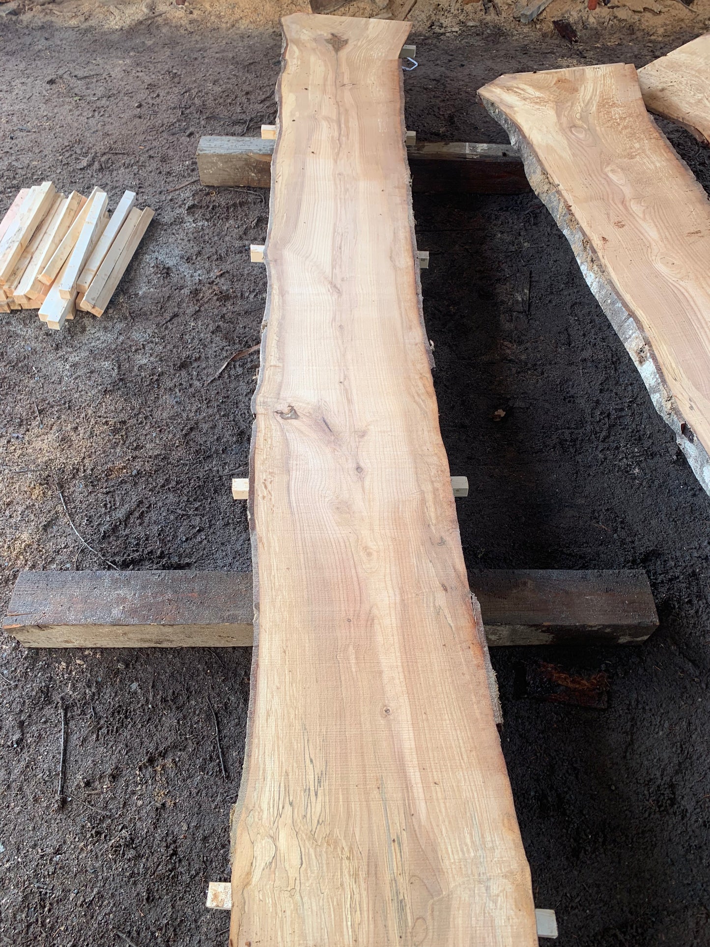 Alder Slabs