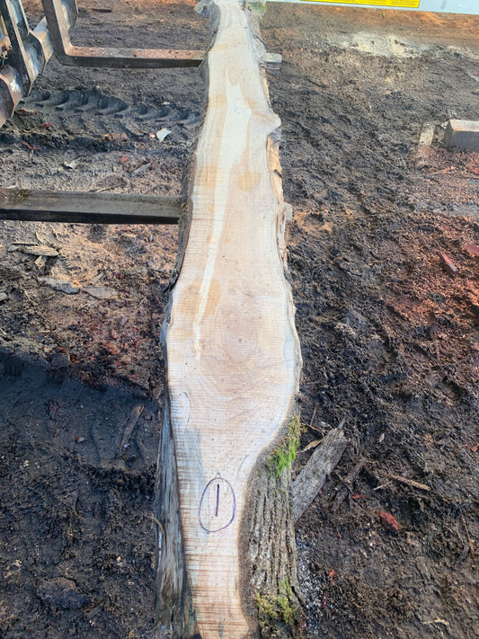 Maple Slabs