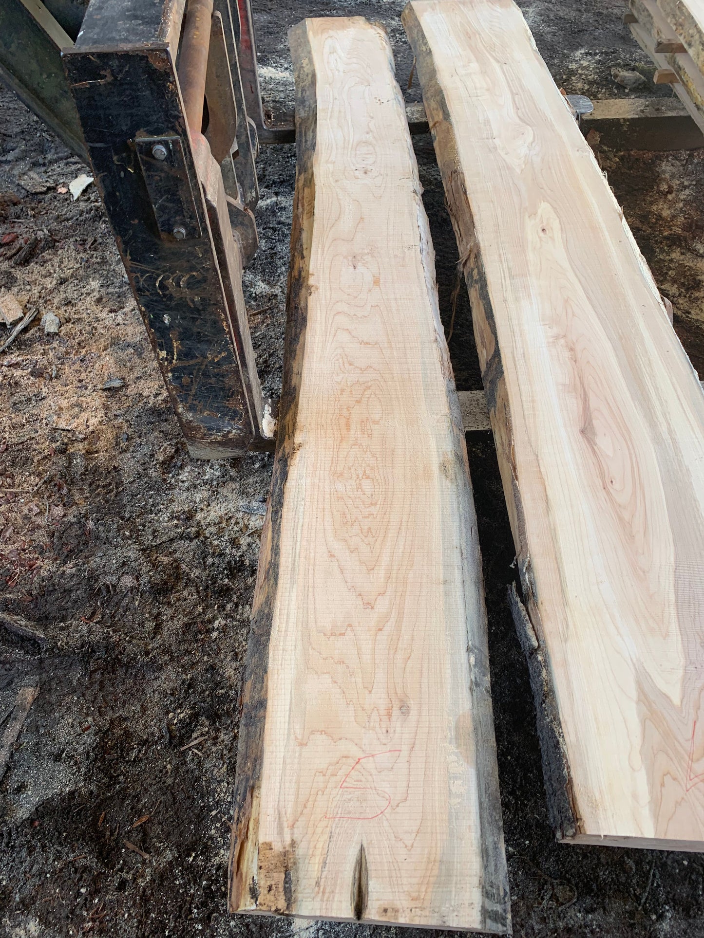Maple Slabs