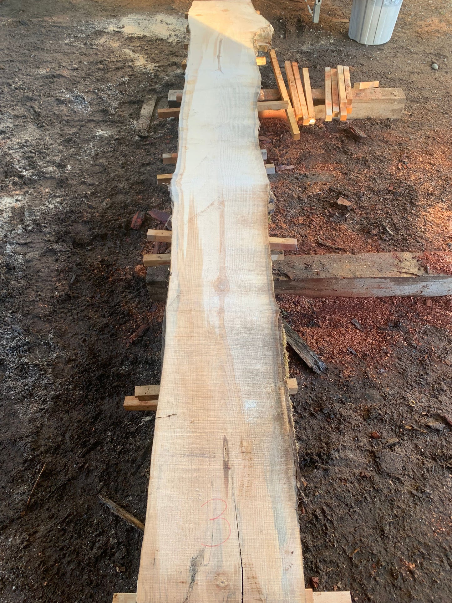 Maple Slabs