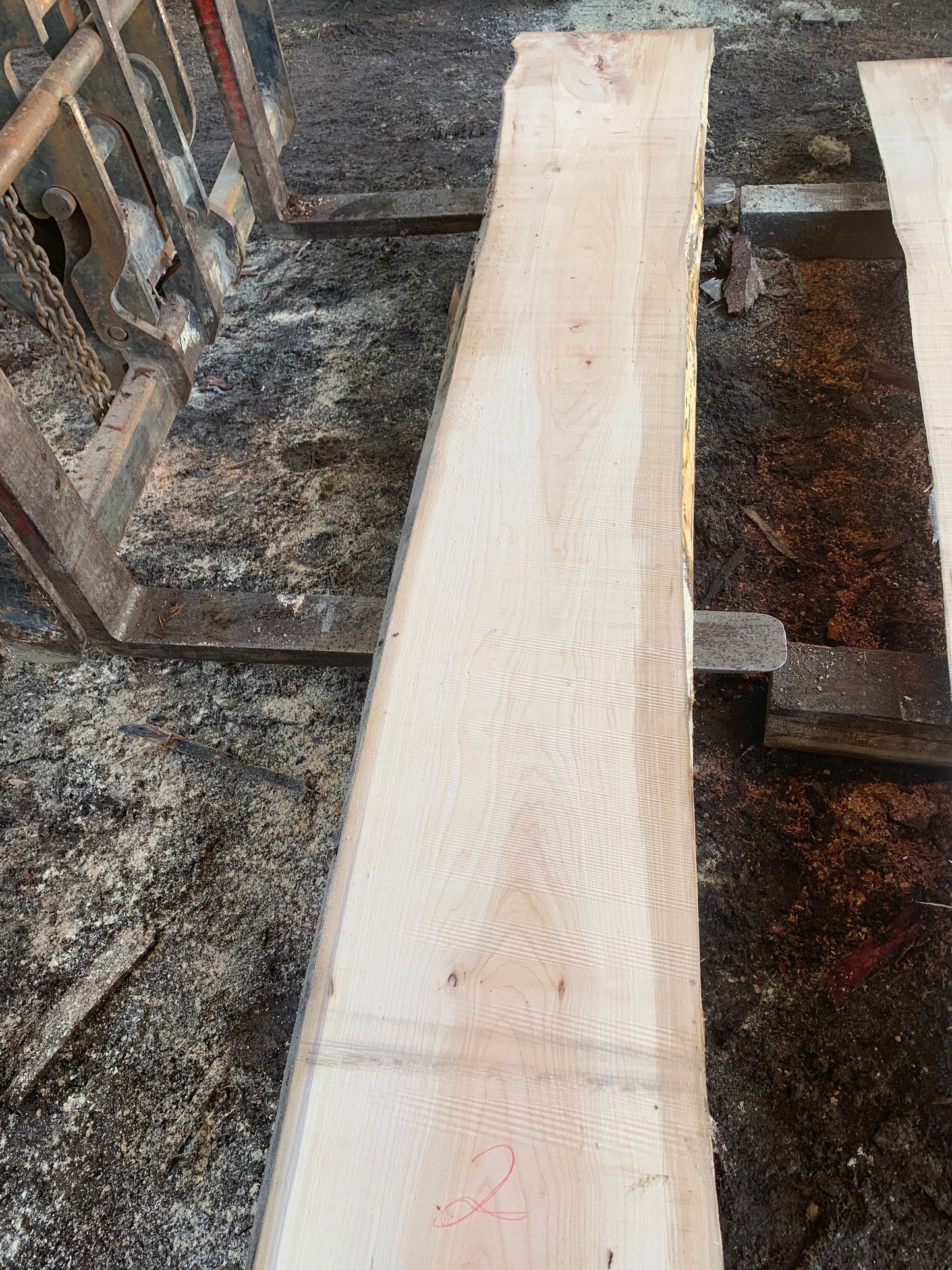 Maple Slabs