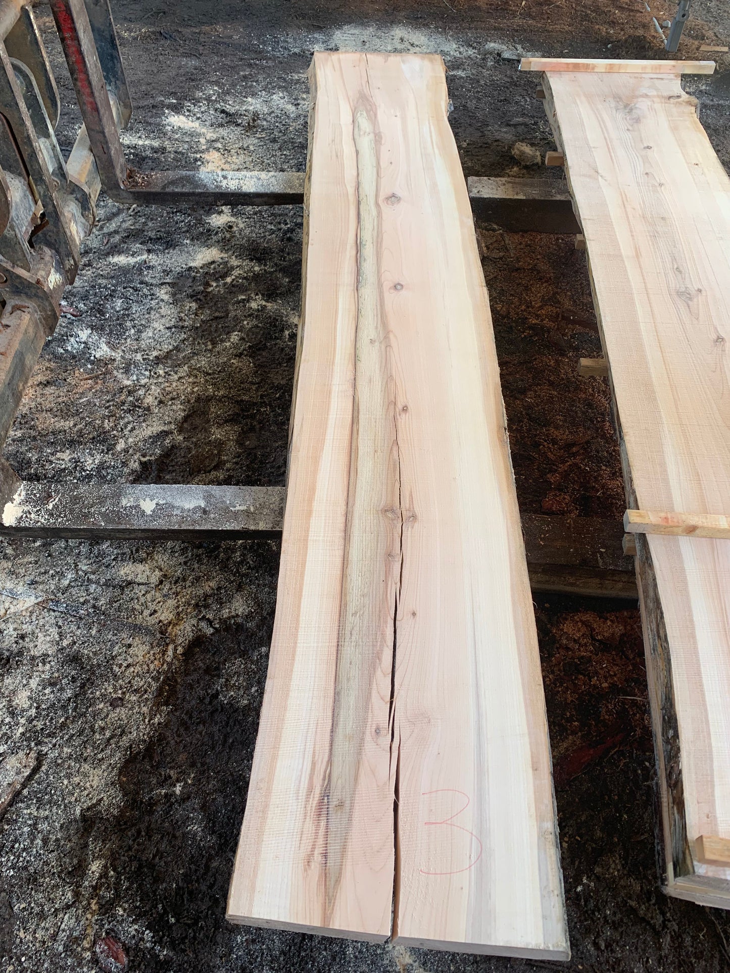 Maple Slabs