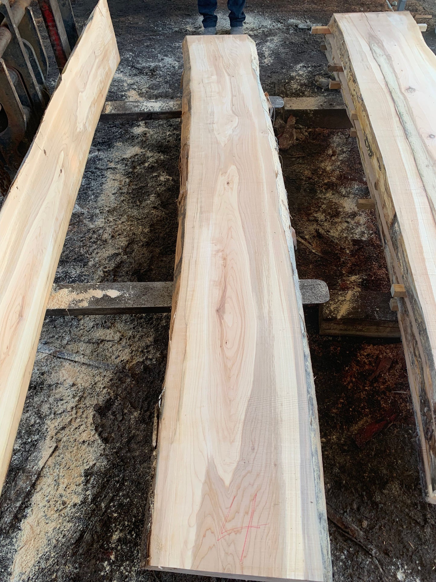 Maple Slabs