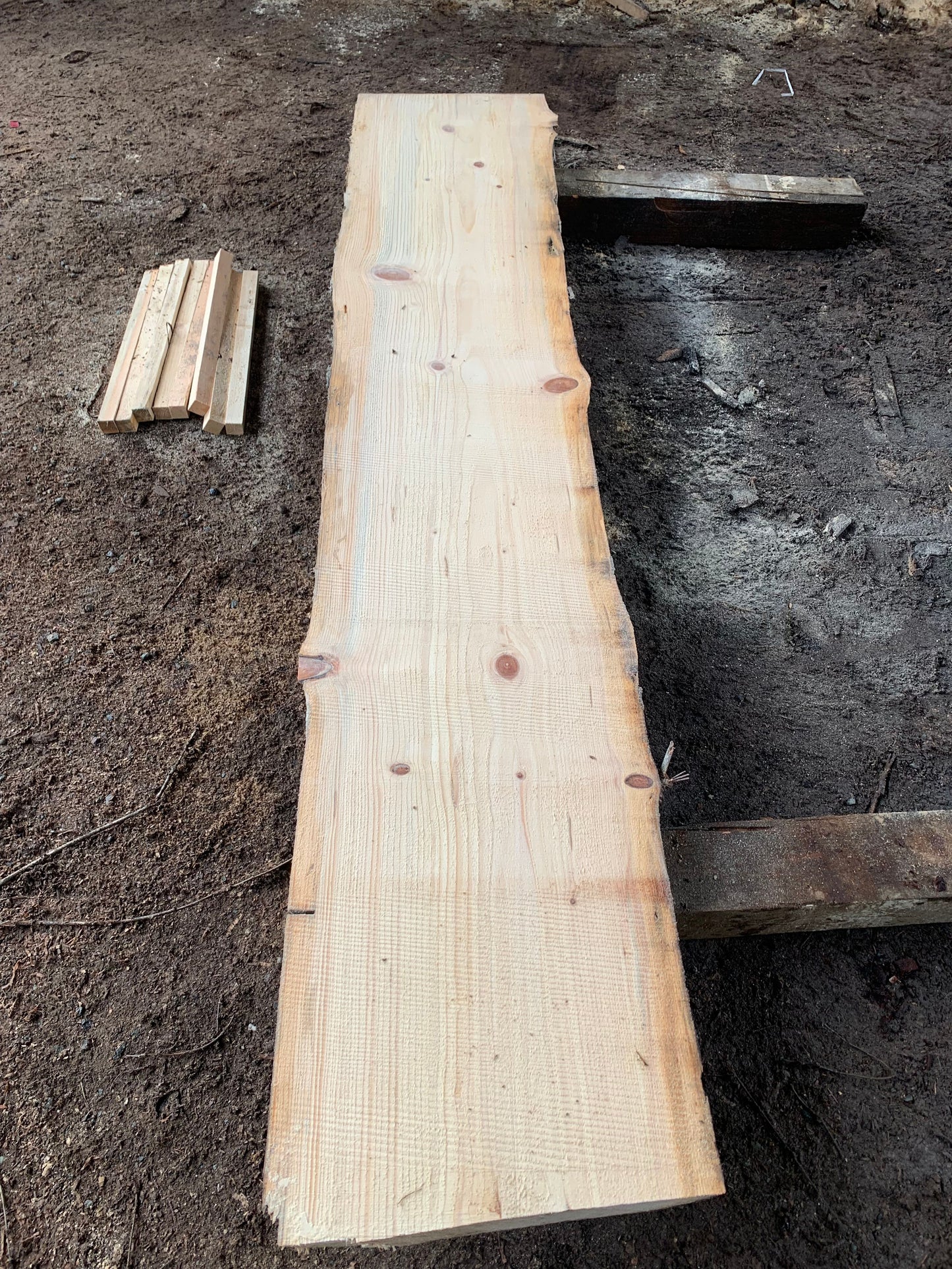 Sitka Spruce Slabs