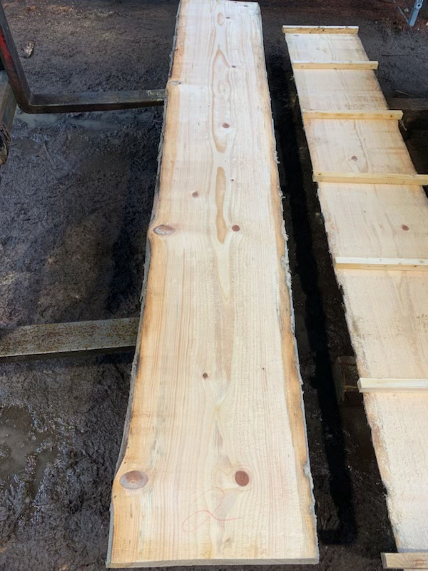 Sitka Spruce Slabs