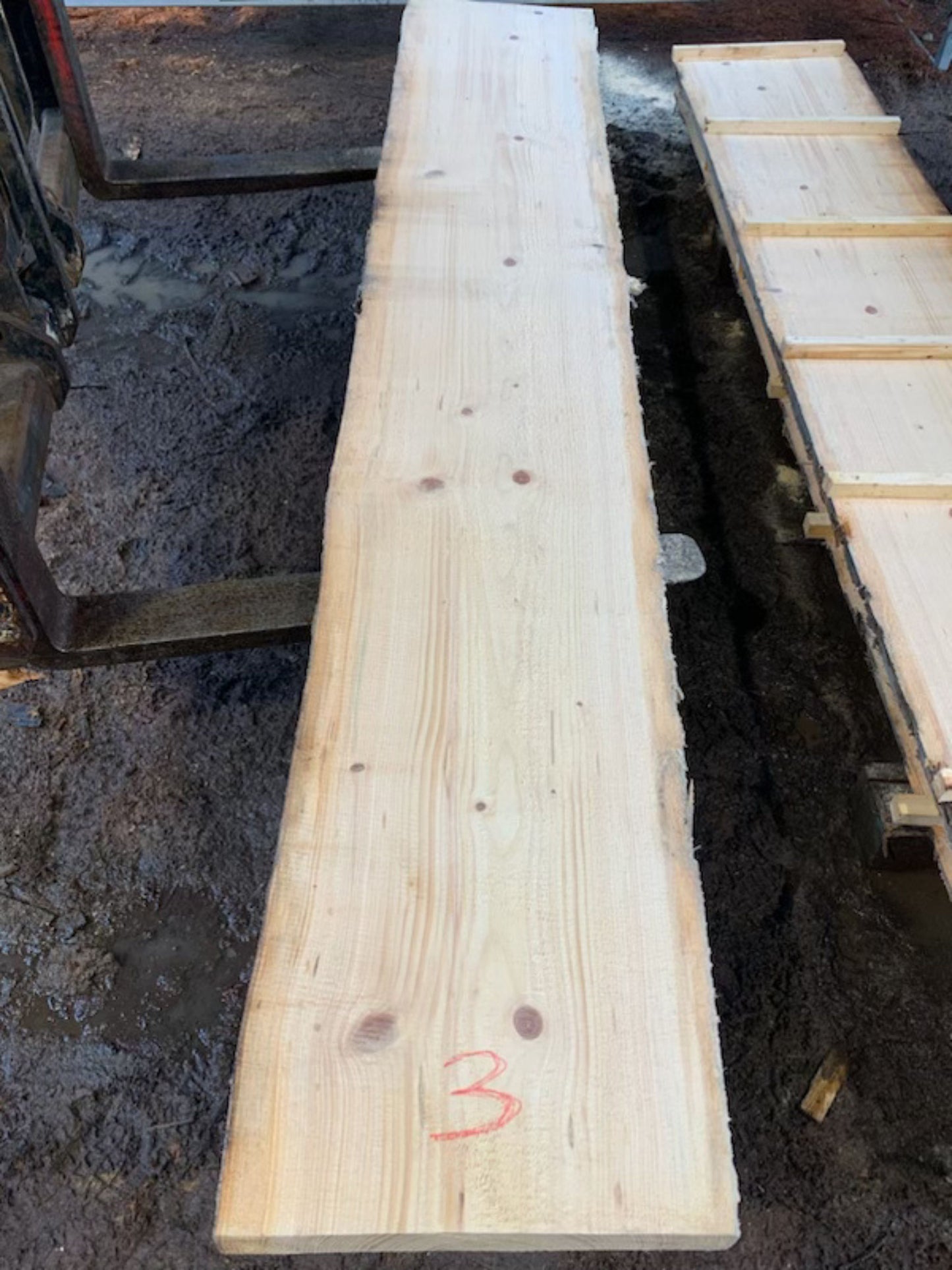 Sitka Spruce Slabs