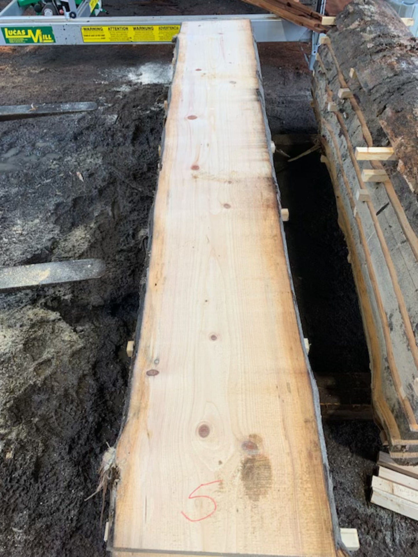 Sitka Spruce Slabs