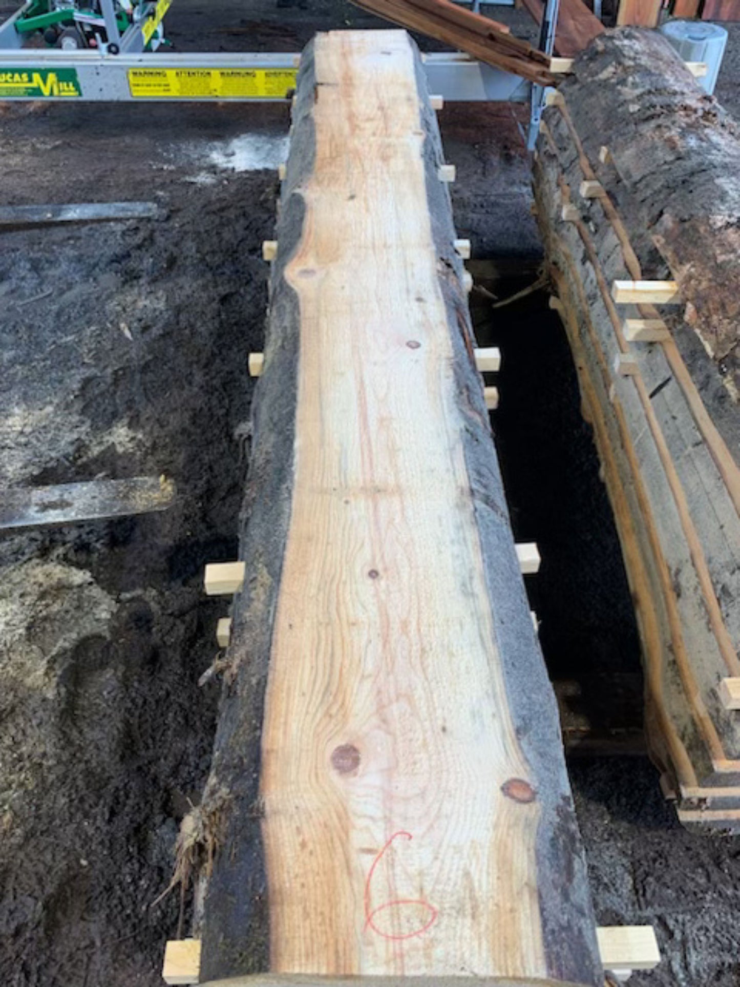 Sitka Spruce Slabs