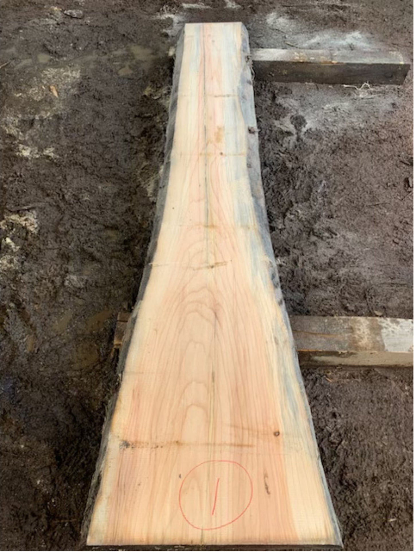 Sitka Spruce Slabs