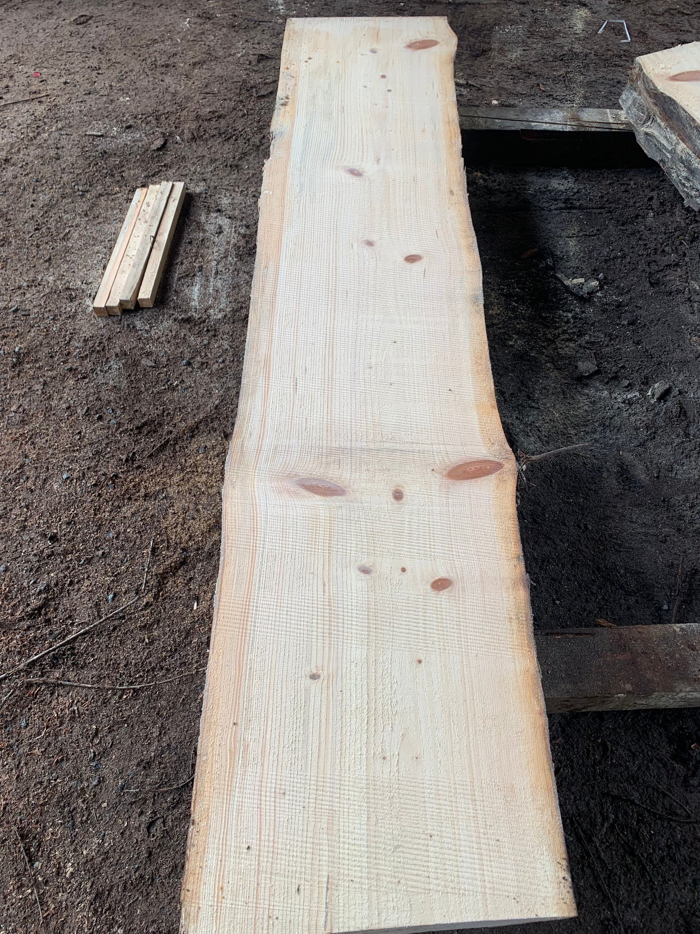 Sitka Spruce Slabs