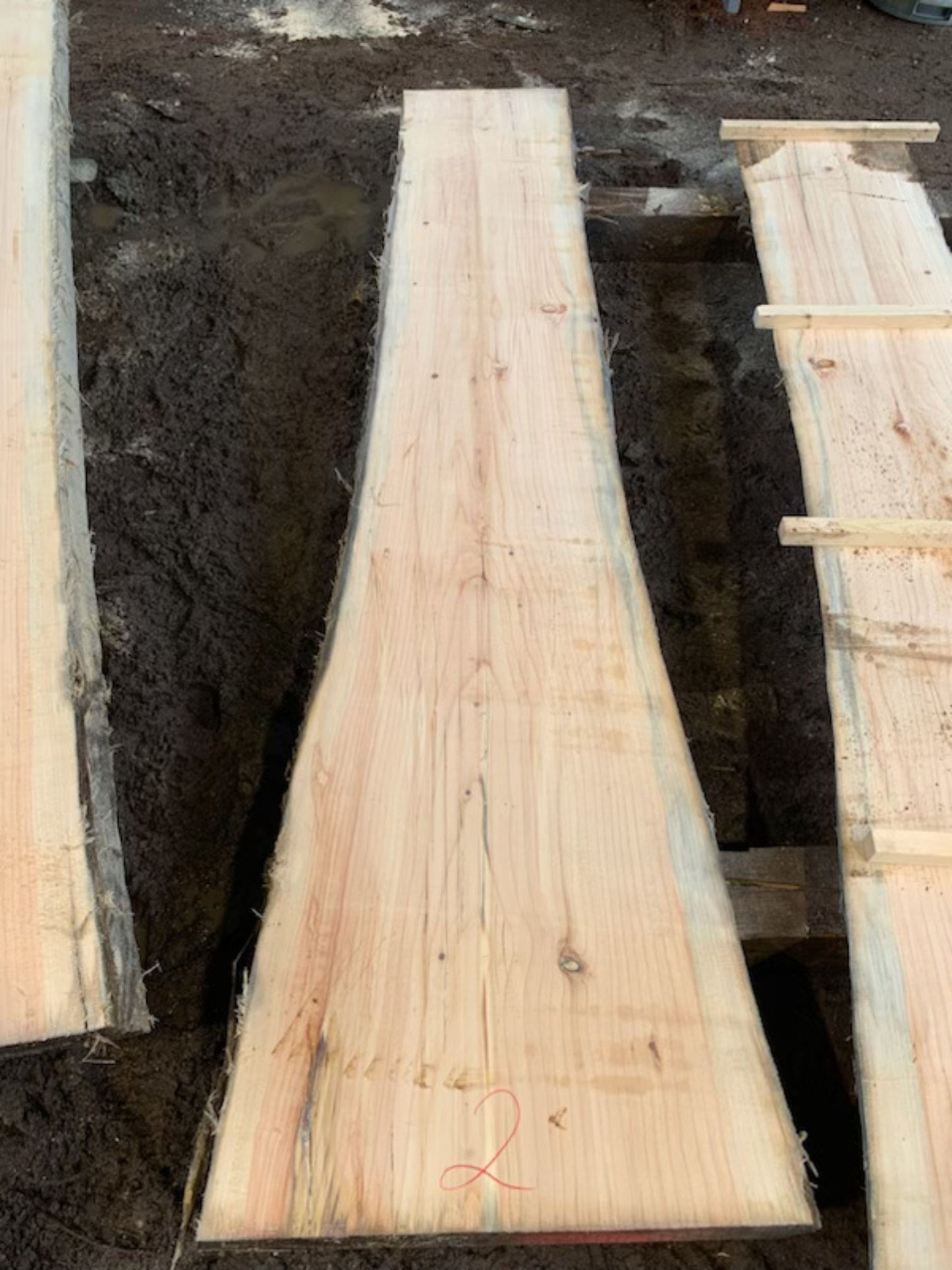 Sitka Spruce Slabs