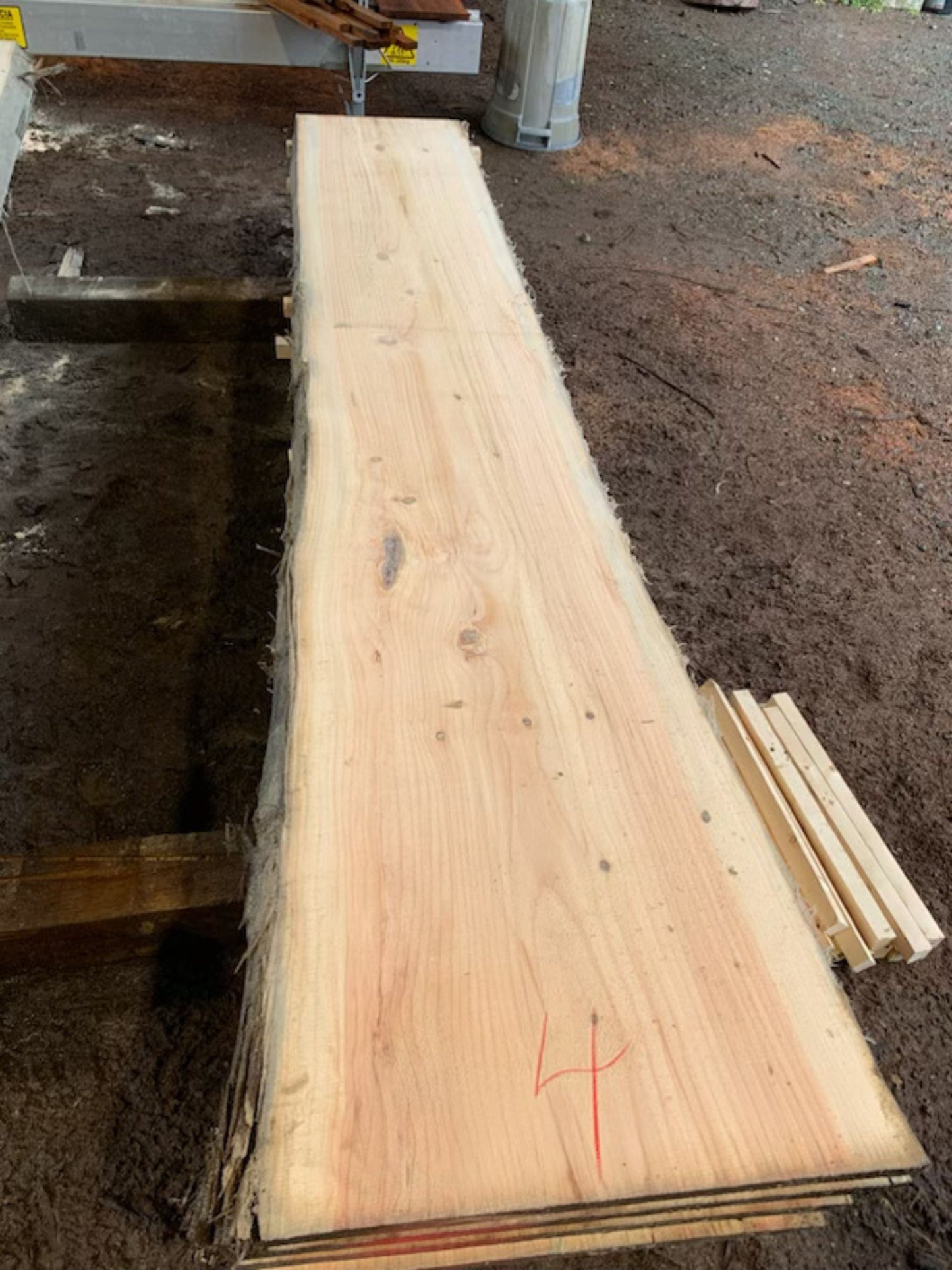 Sitka Spruce Slabs