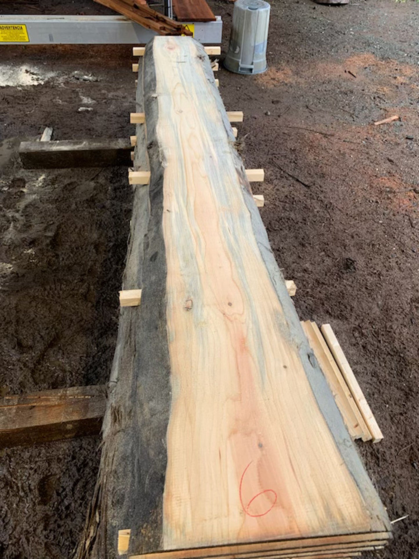 Sitka Spruce Slabs