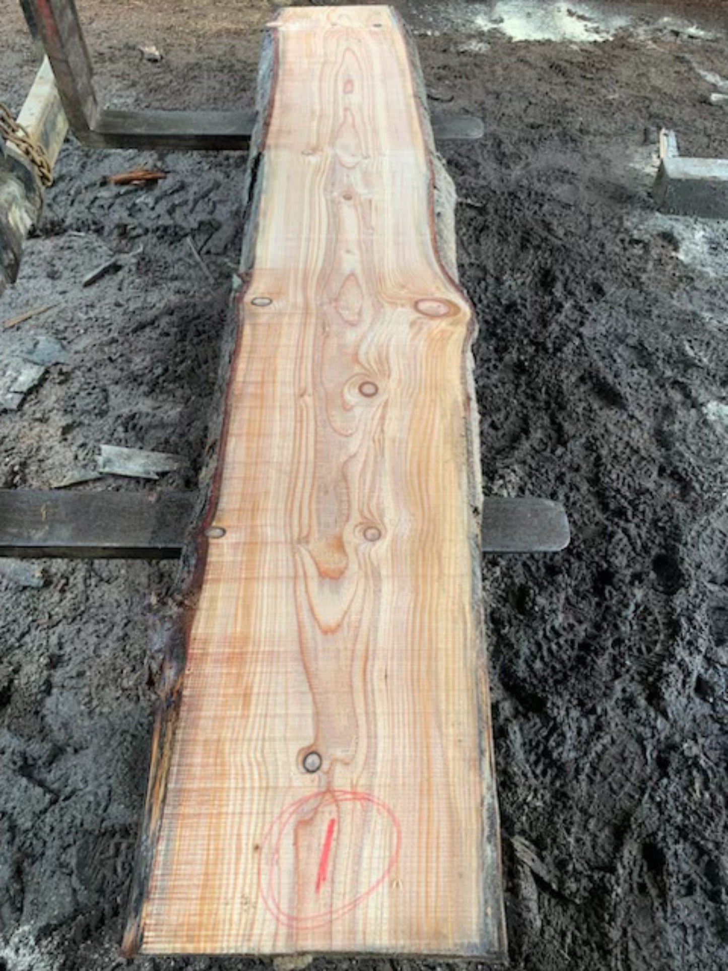 Sitka Spruce Slabs