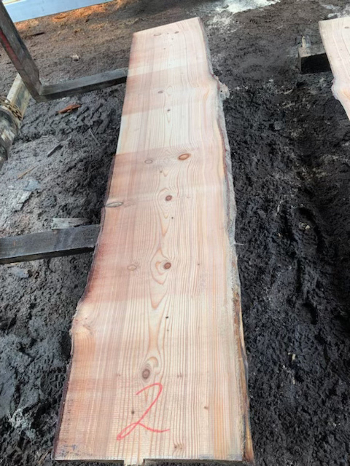 Sitka Spruce Slabs