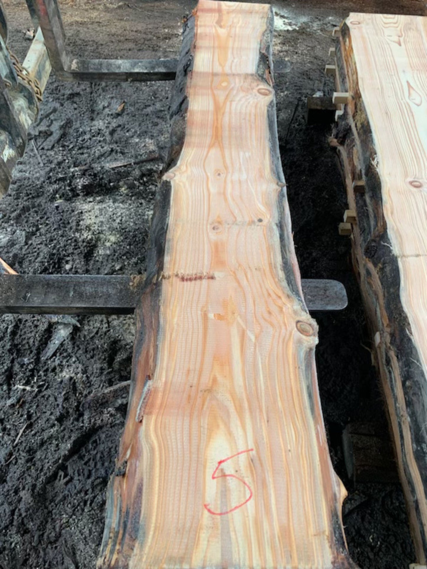 Sitka Spruce Slabs