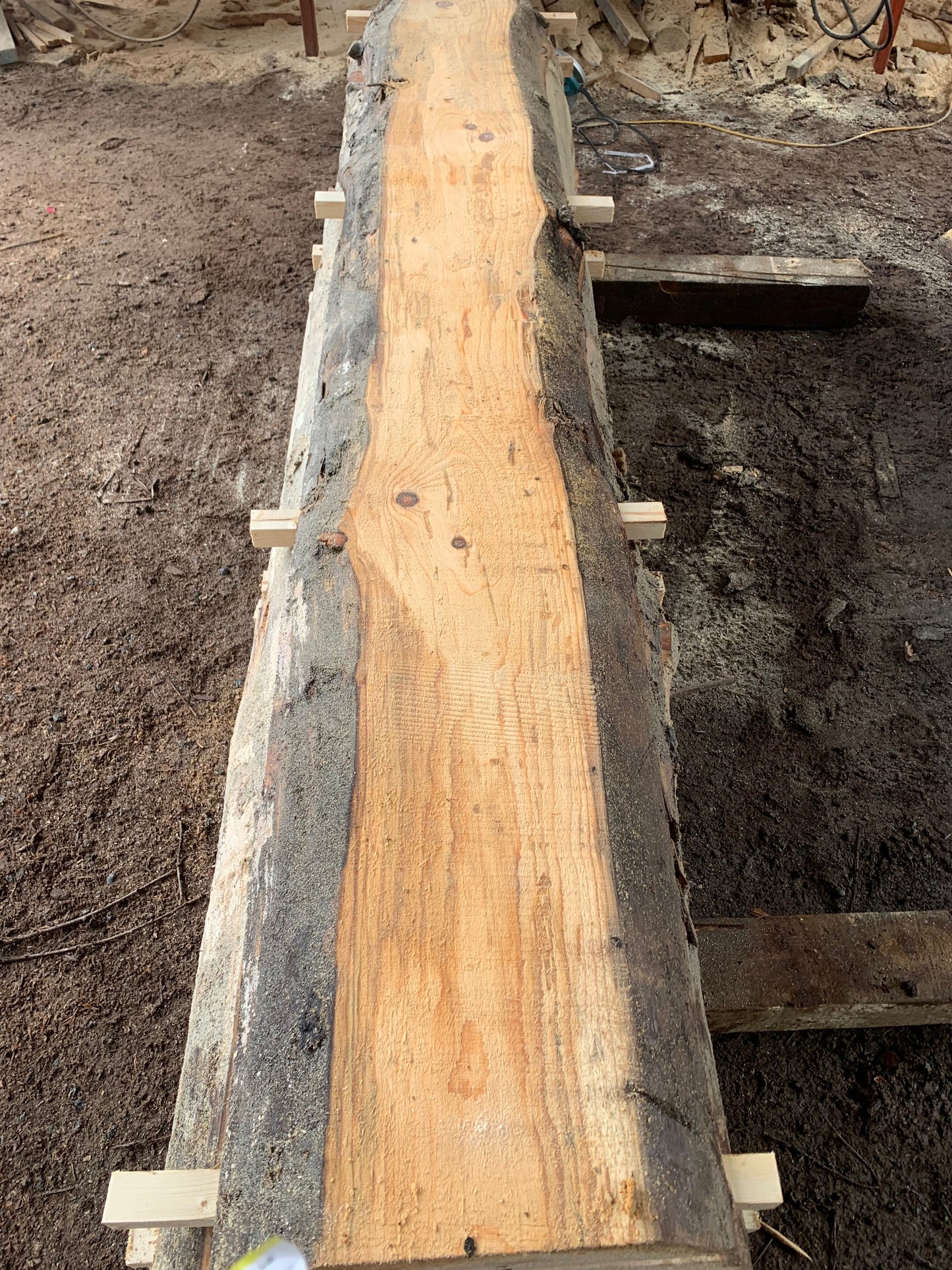 Sitka Spruce Slabs