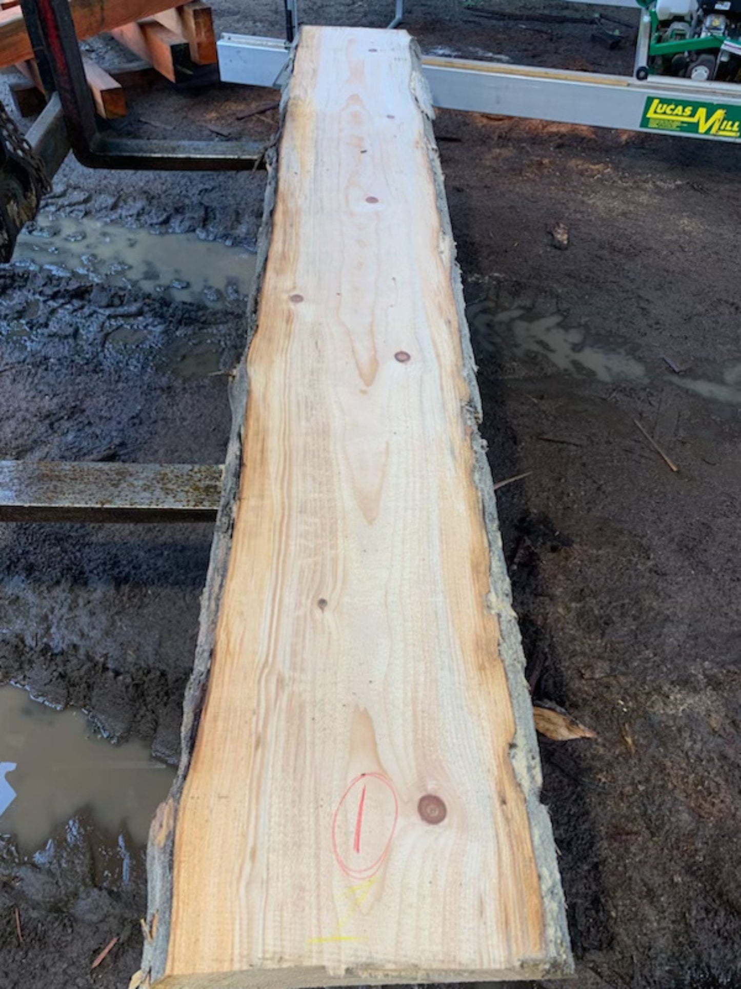 Sitka Spruce Slabs