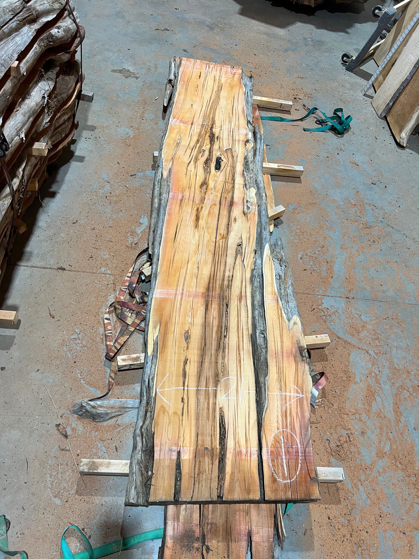 Yew Slabs