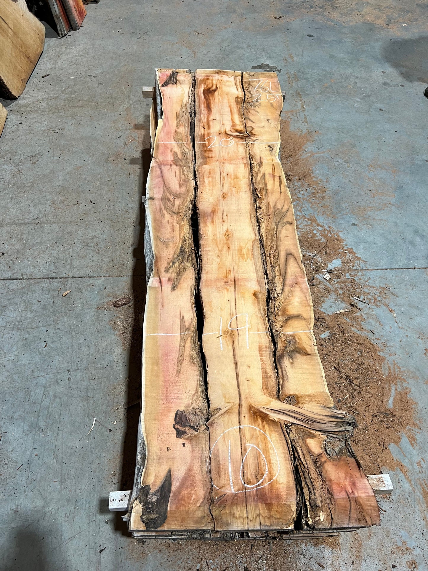 Yew Slabs