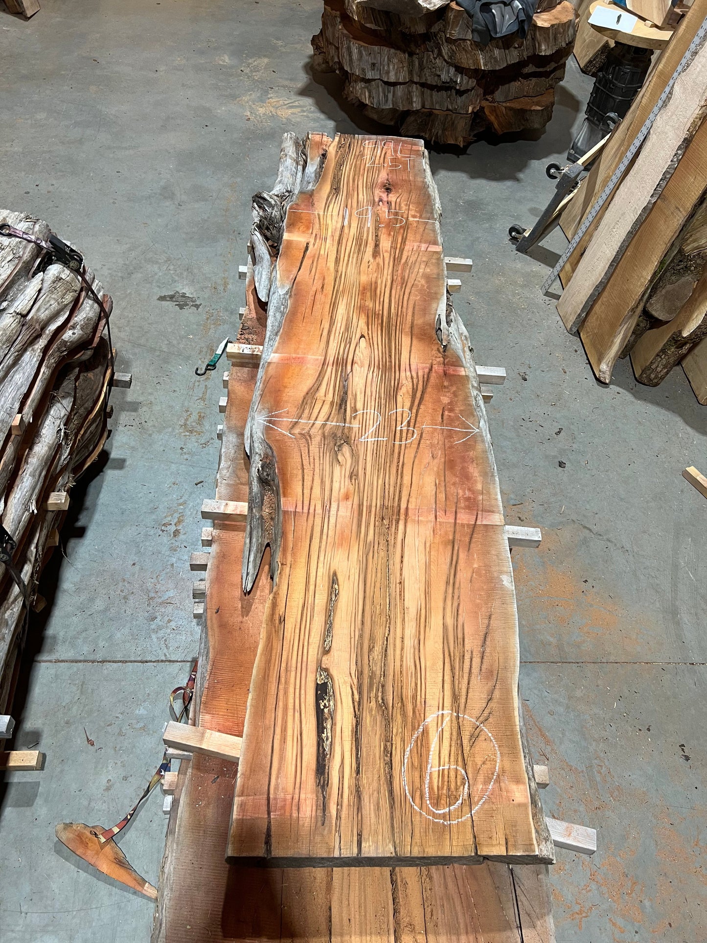 Yew Slabs