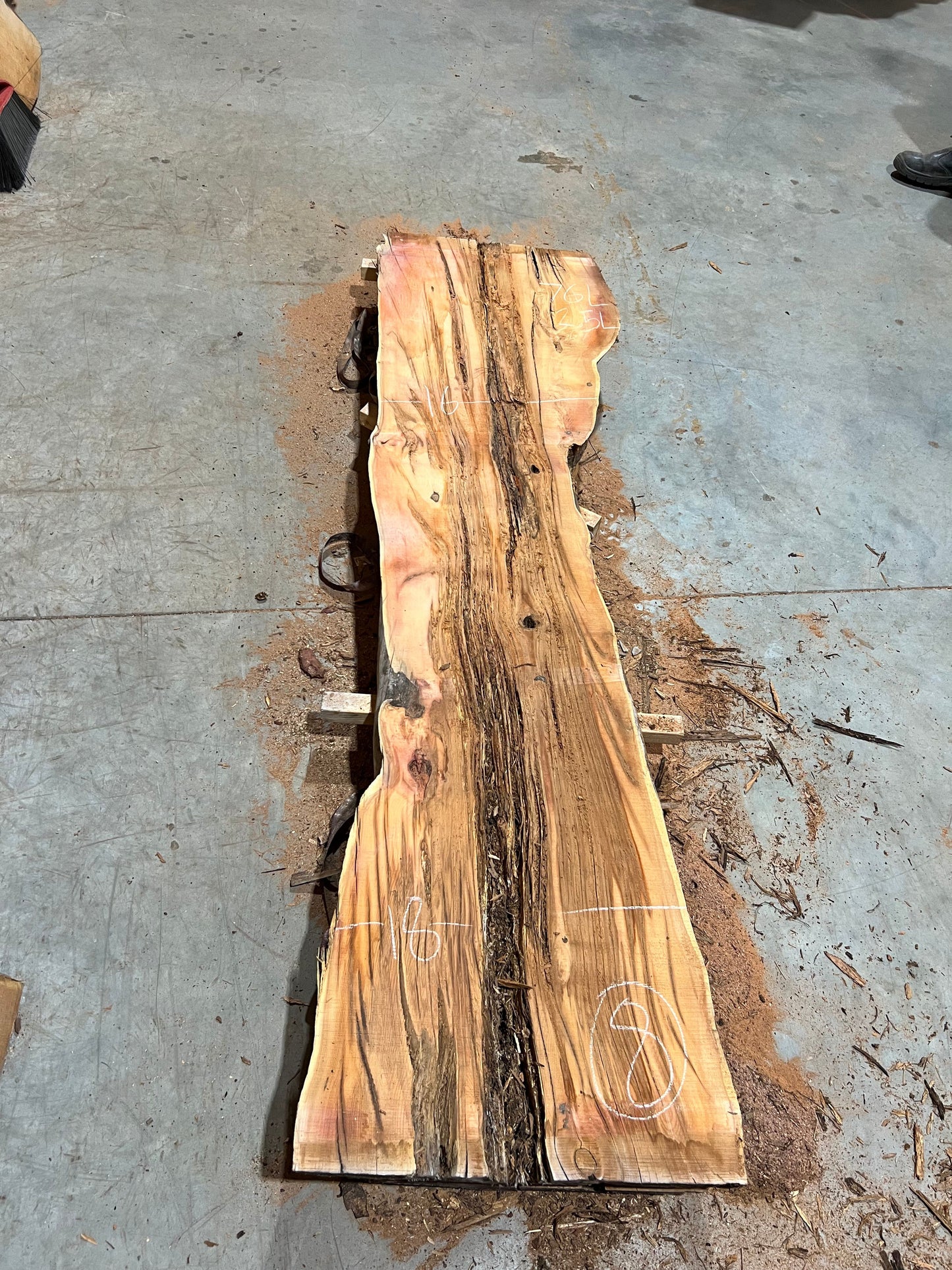 Yew Slabs