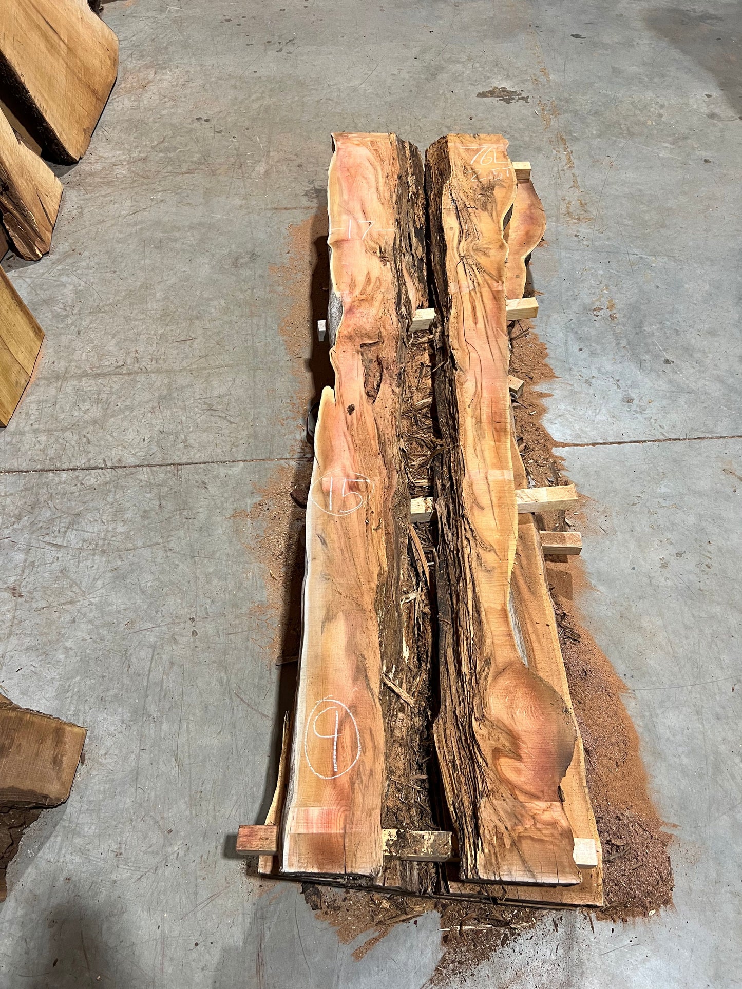 Yew Slabs