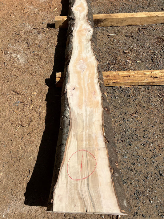 European Beech Slabs - slab 1, 166x11x3 inches
