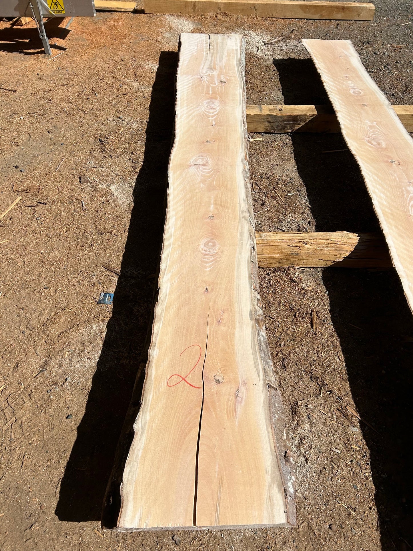 European Beech Slabs - slab 2, 166x19.5x3 inches