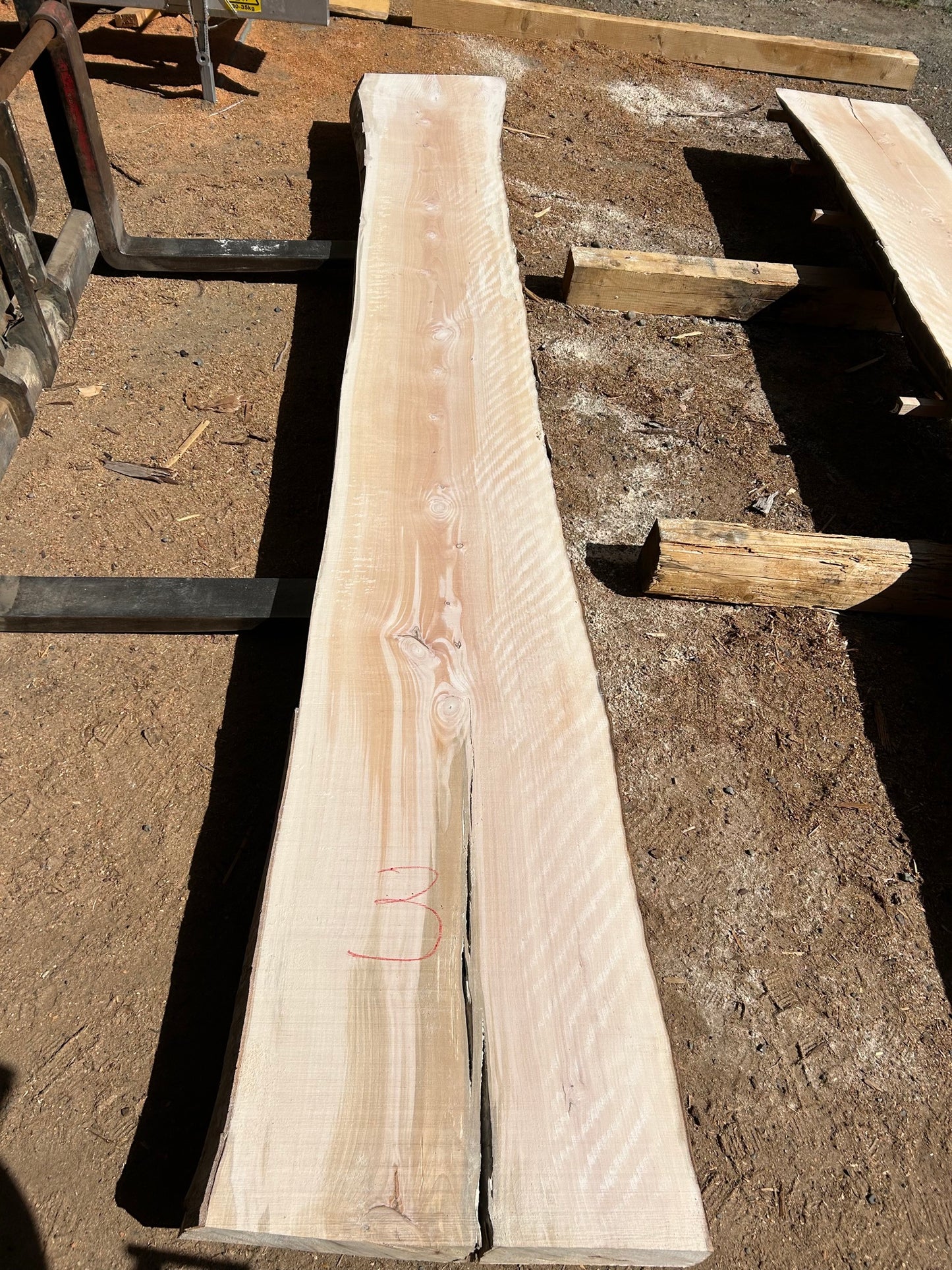 European Beech Slabs - slab 3, 166x23x4 inches