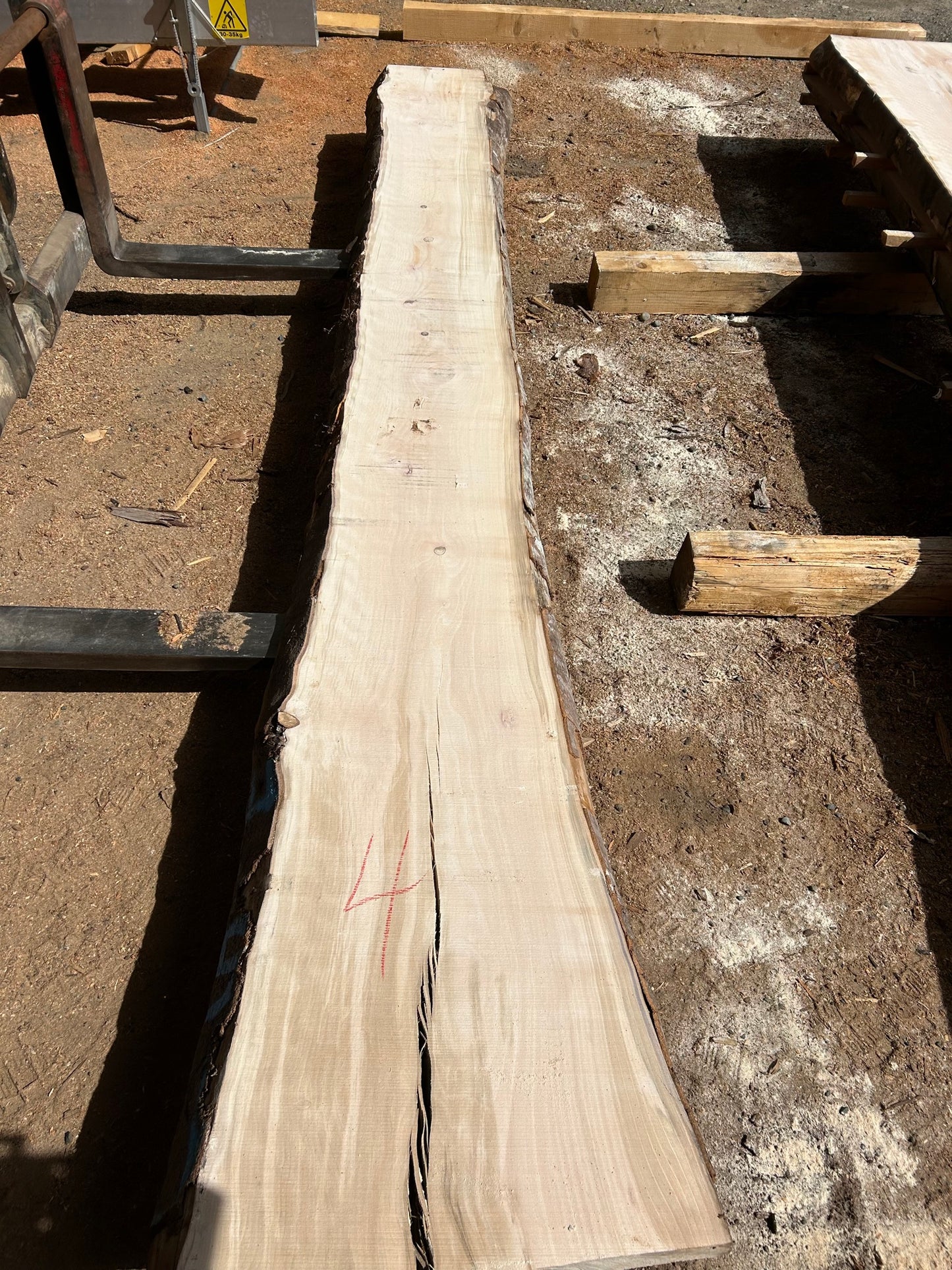 European Beech Slabs - slab 4, 166x17x4 inches