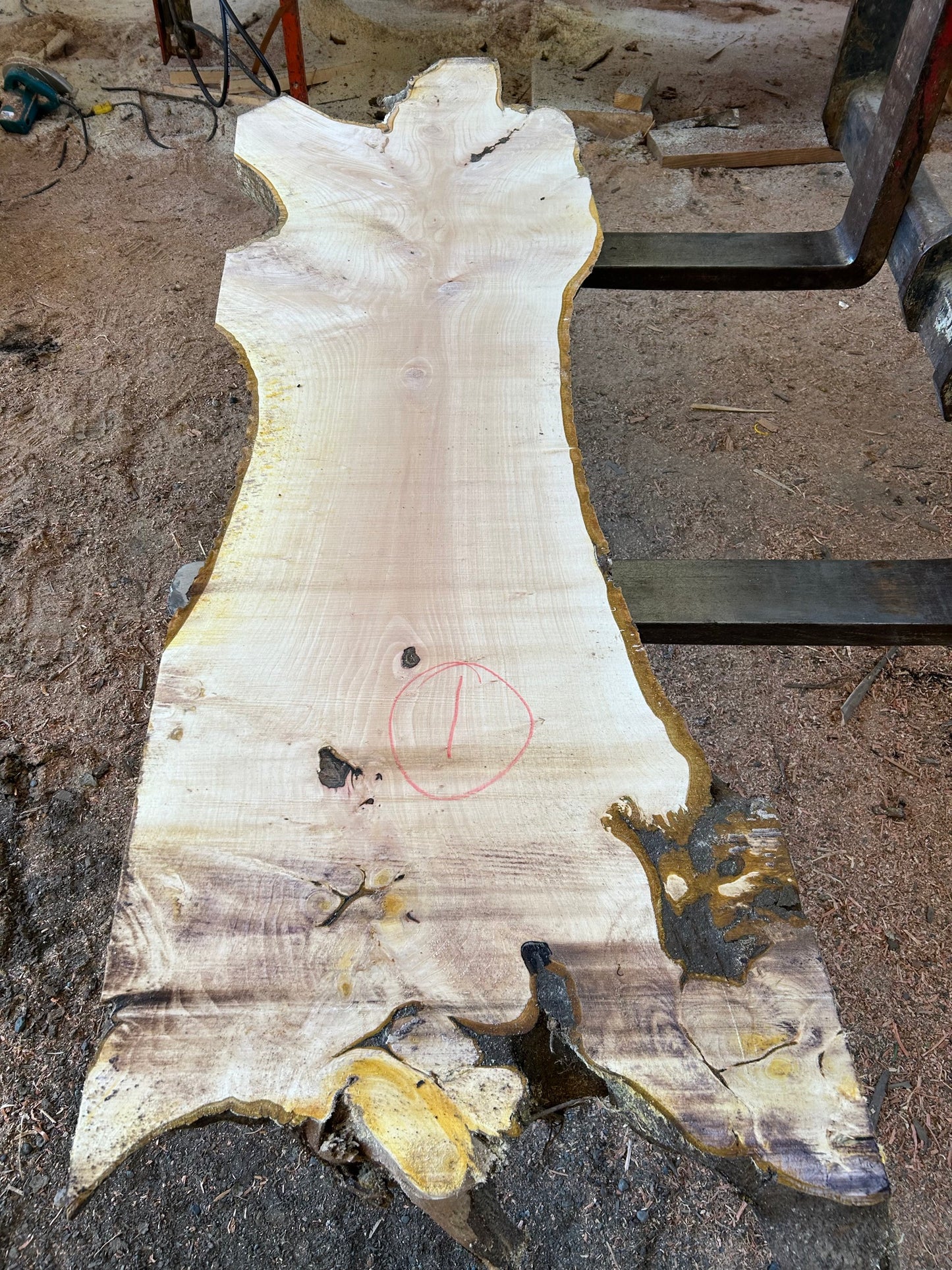 English Walnut Slabs - slab 1, 86x22x3.5 inches