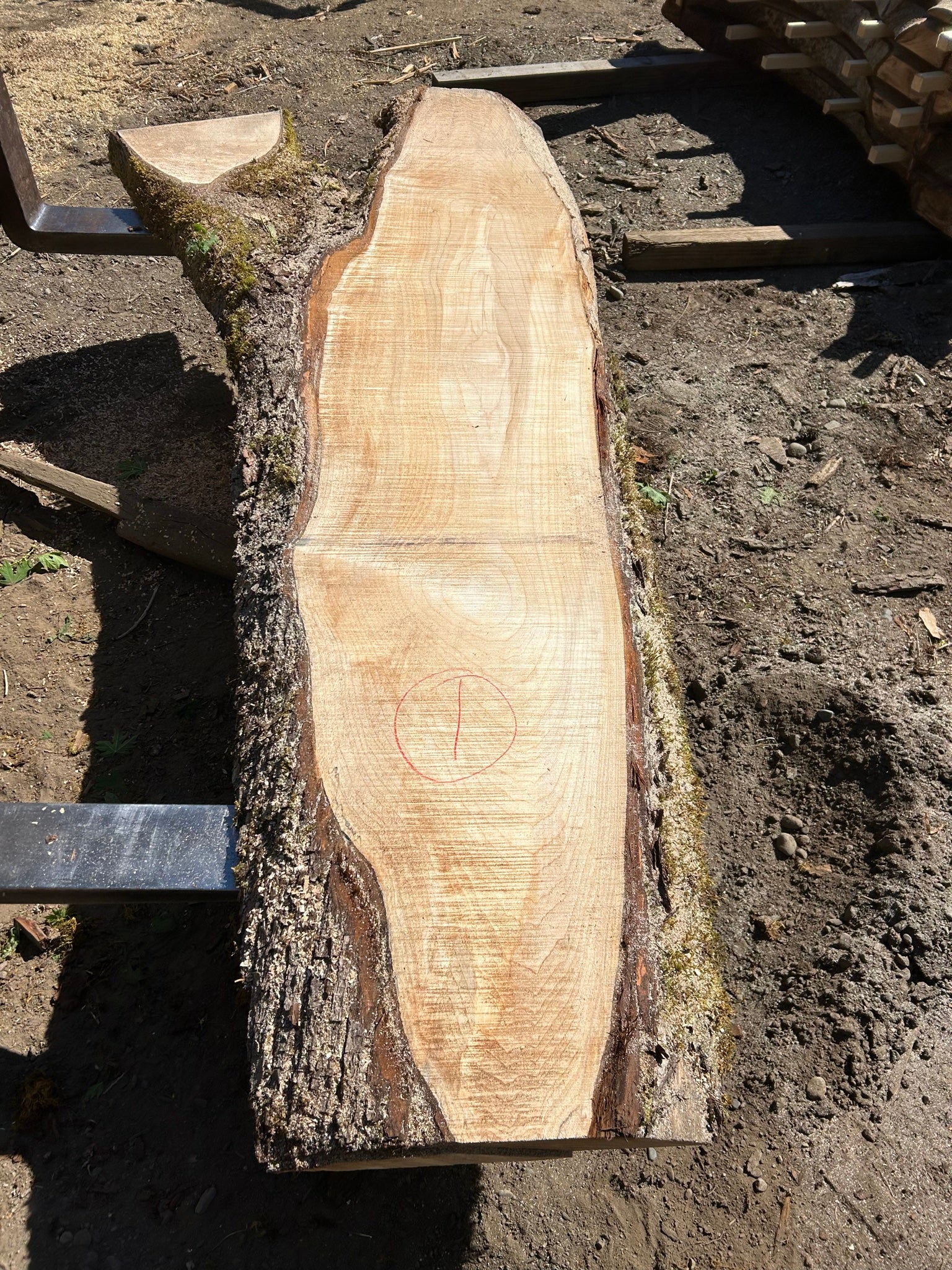 Chocolate Maple Slabs - 100" Flitch - slab 1, 100x20x3.5 inches