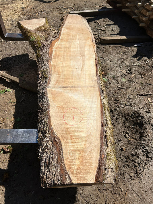Chocolate Maple Slabs - 100" Flitch - slab 1, 100x20x3.5 inches