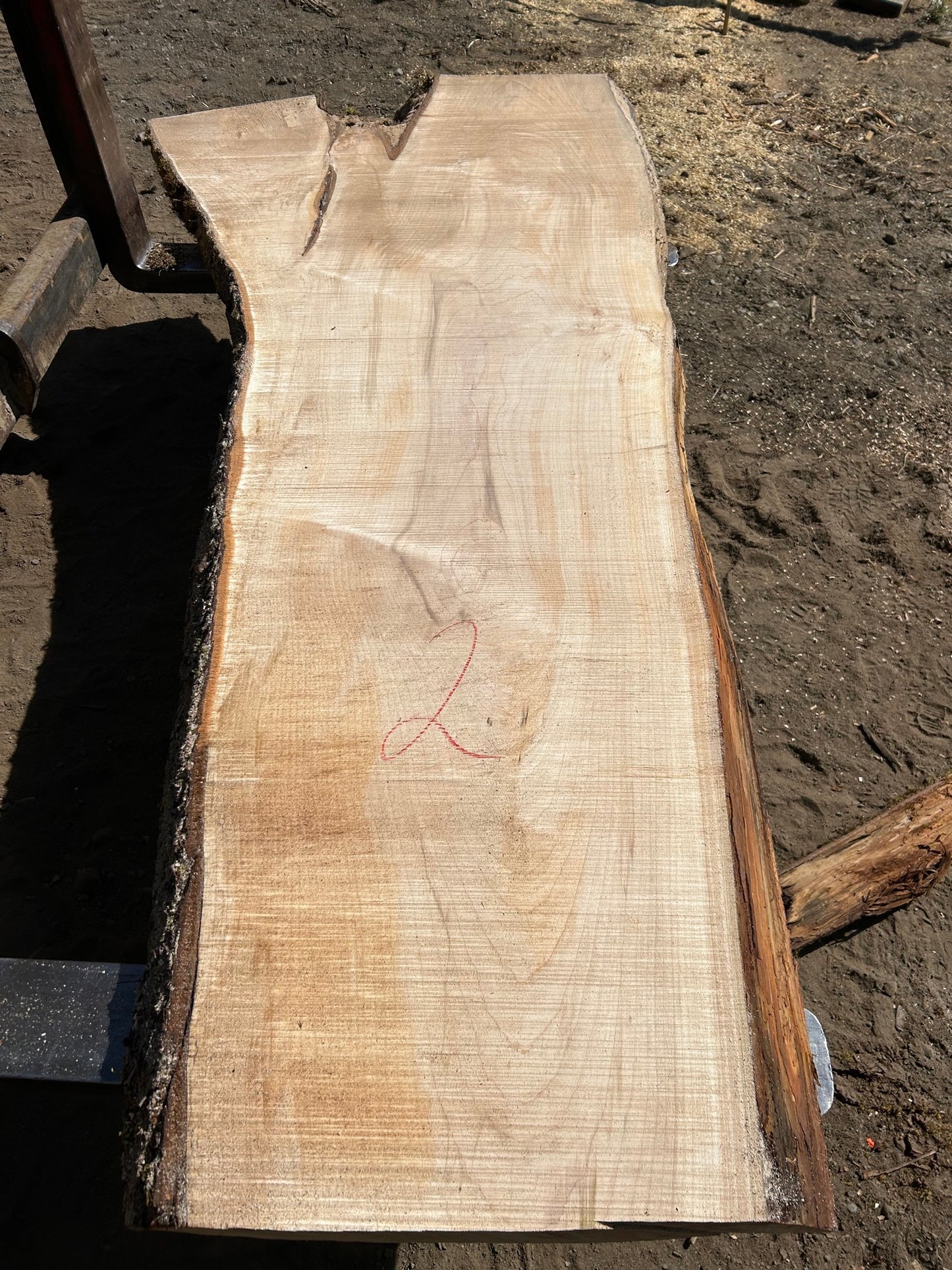 Chocolate Maple Slabs - 100" Flitch - slab 2, 100x28x3.5 inches