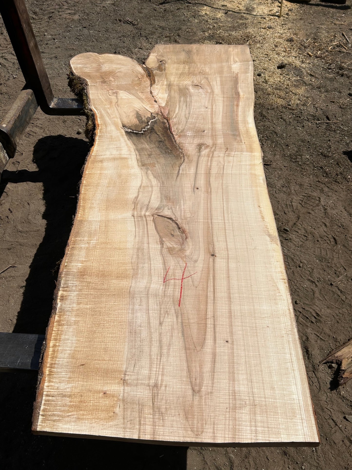 Chocolate Maple Slabs - 100" Flitch - slab 4, 100x32x3.5 inches