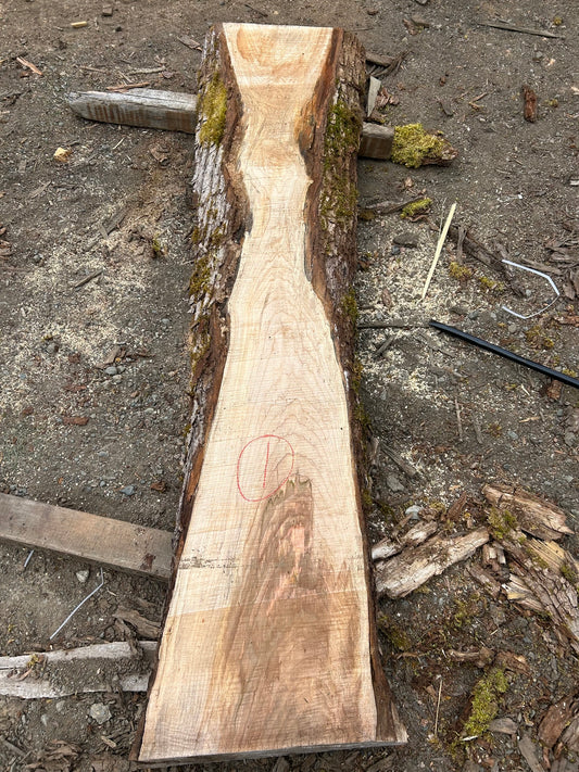 Chocolate Maple Slabs - 96" Flitch - slab 1, 96x17x3 inches