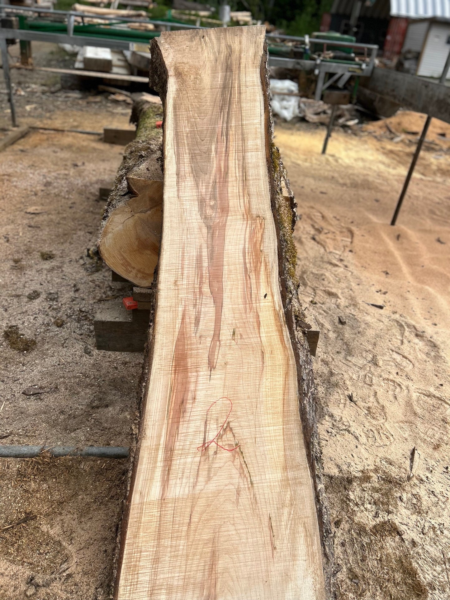 Chocolate Maple Slabs - 96" Flitch - slab 2, 96x25x3 inches