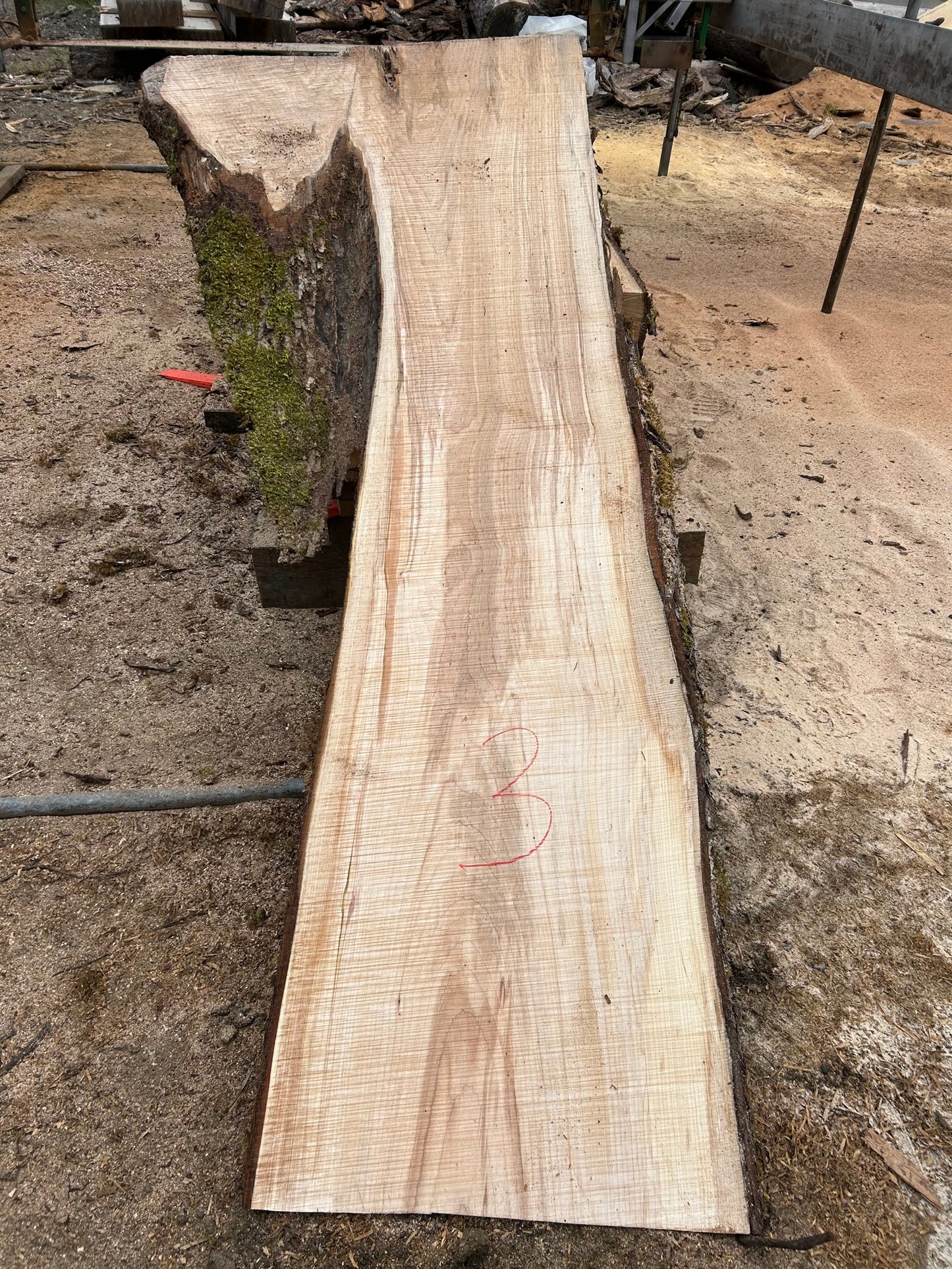Chocolate Maple Slabs - 96" Flitch - slab 3, 96x25x3 inches
