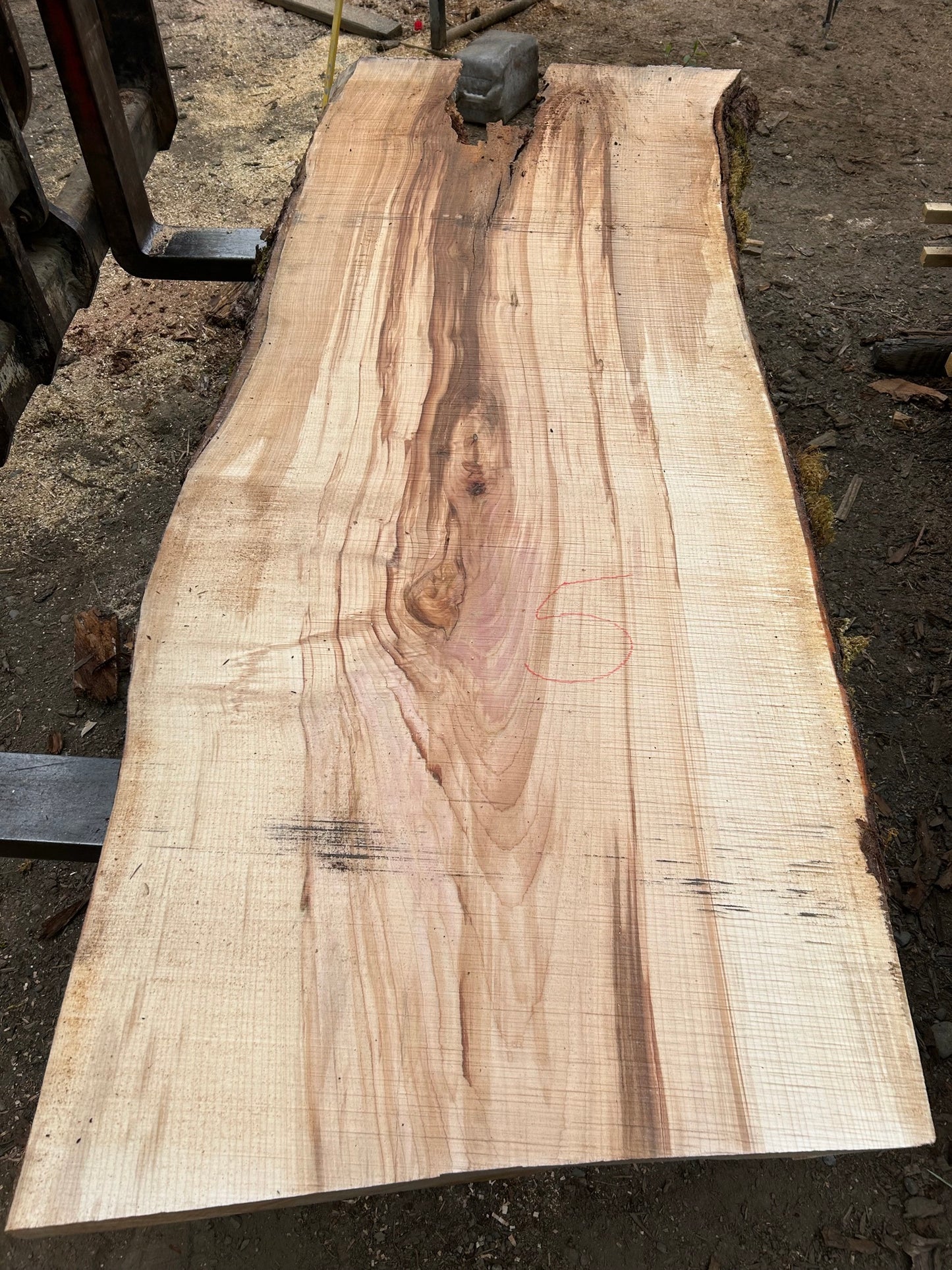 Chocolate Maple Slabs - 96" Flitch - slab 5, 96x33x3.5 inches