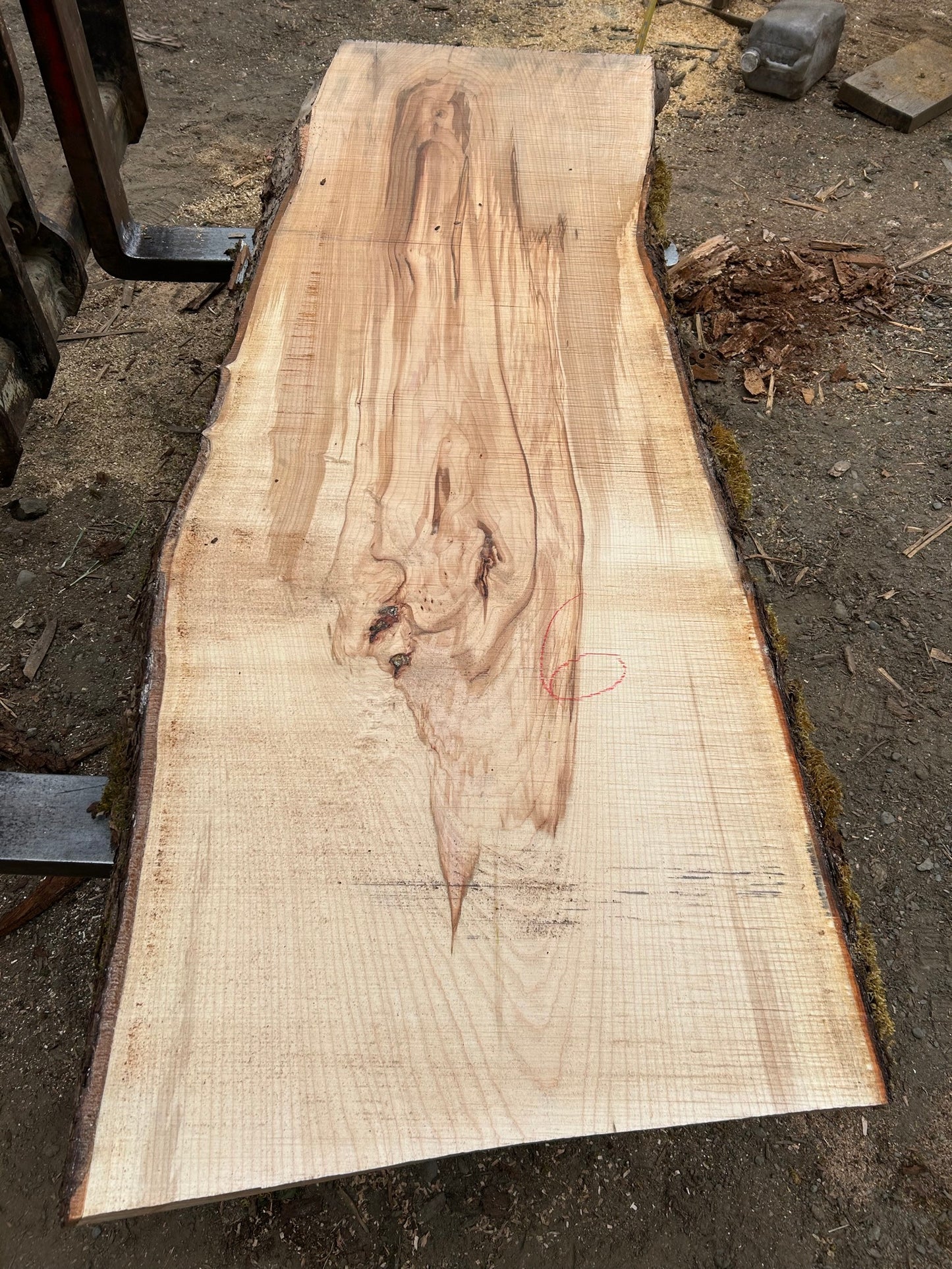 Chocolate Maple Slabs - 96" Flitch - slab 6, 96x33x3.5 inches