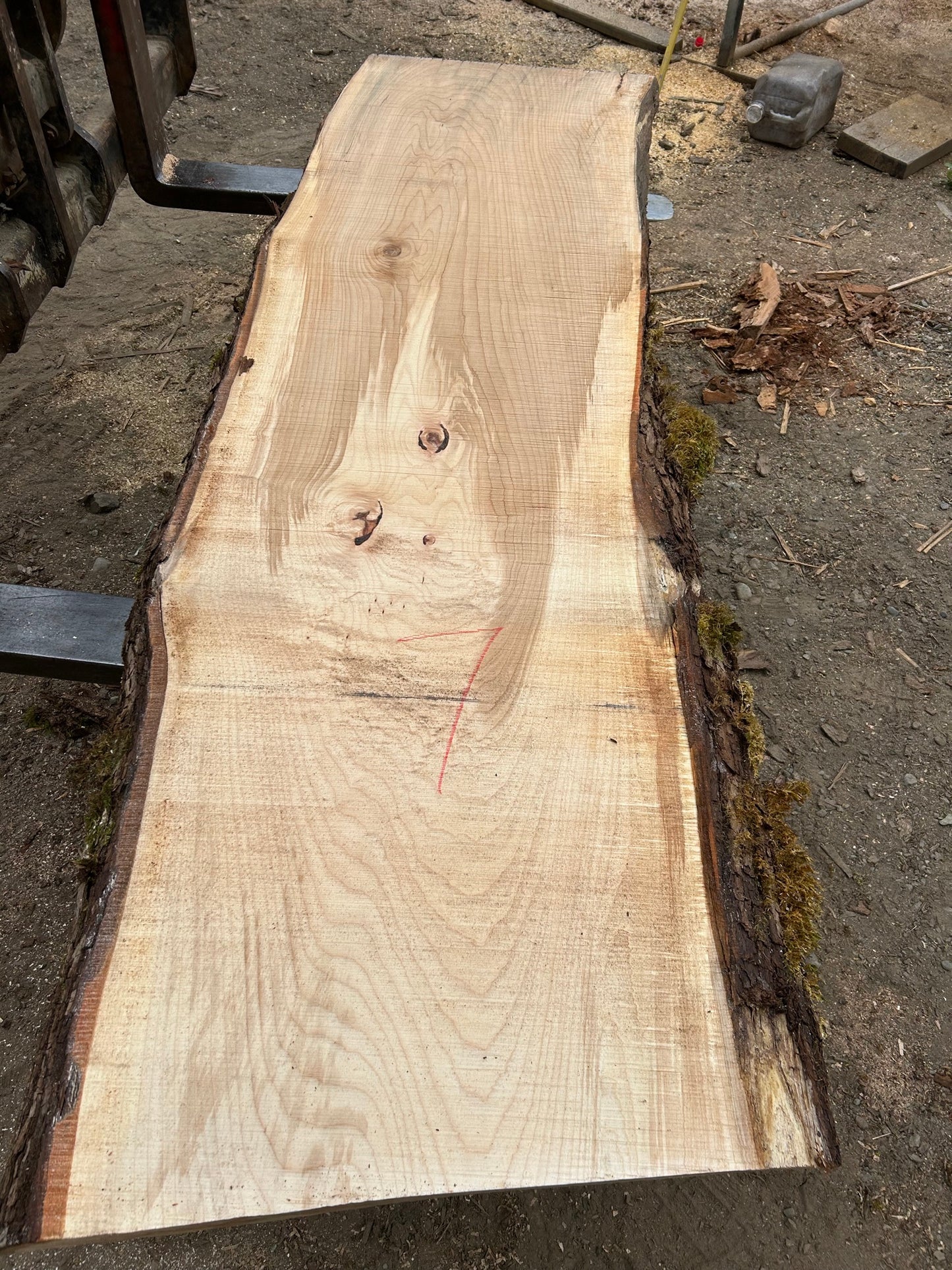 Chocolate Maple Slabs - 96" Flitch - slab 7, 96x28x3.5 inches