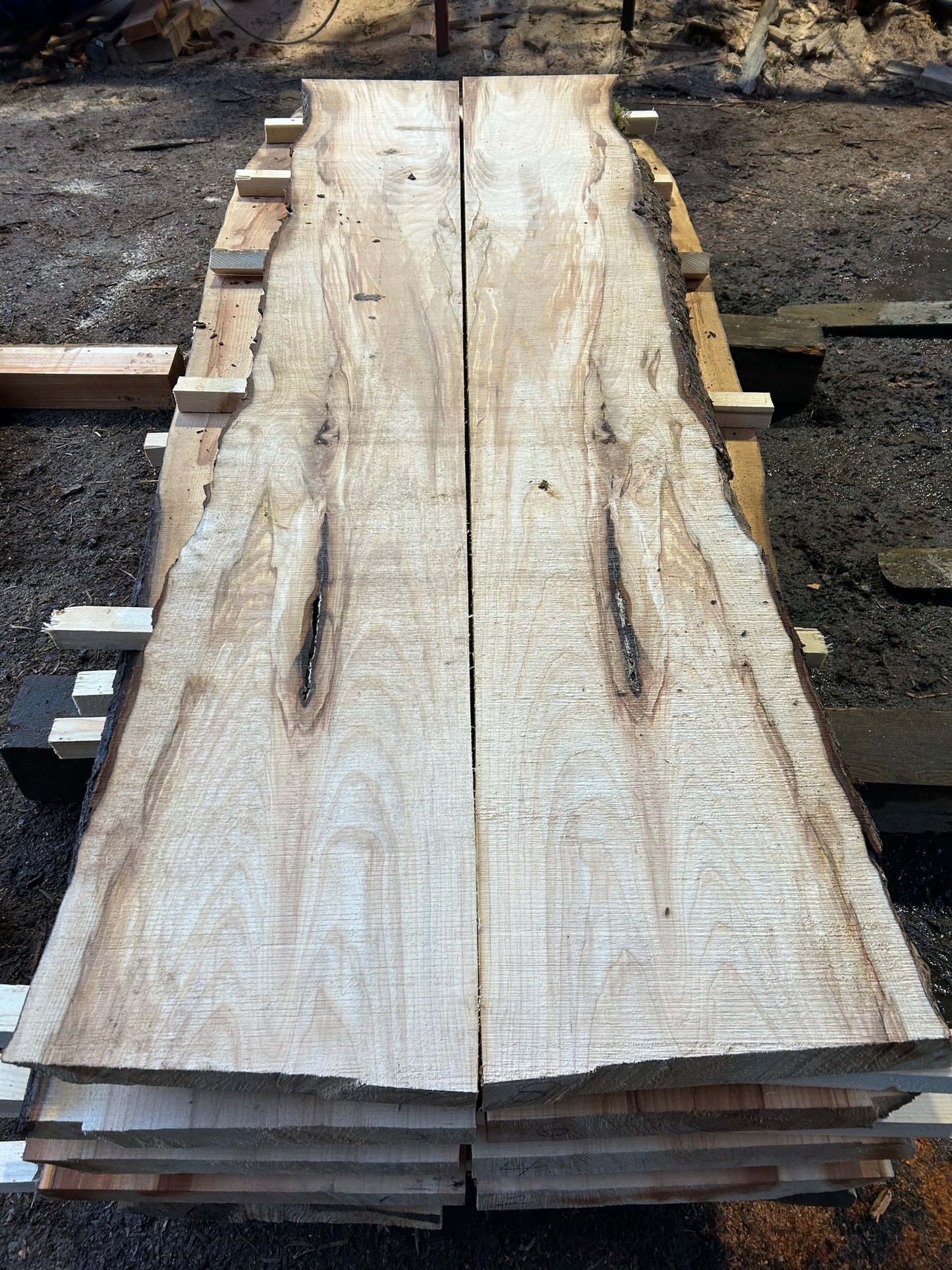 Book Matched Maple Slabs - slab 4, 86x32x2.25 inches