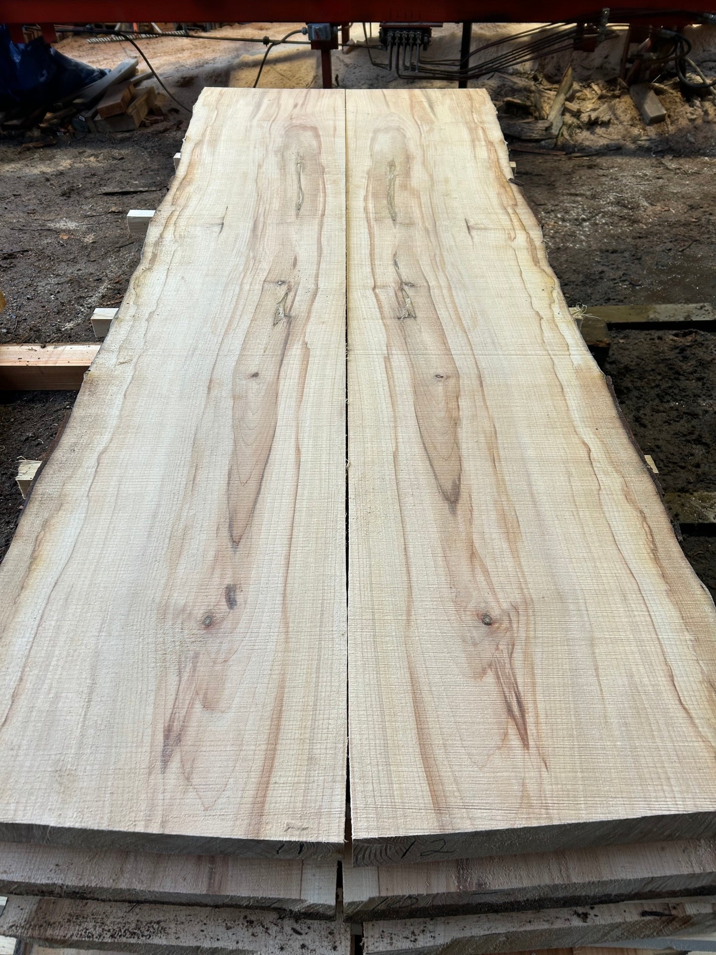 Book Matched Maple Slabs - slab 6, 86x28x2.25 inches
